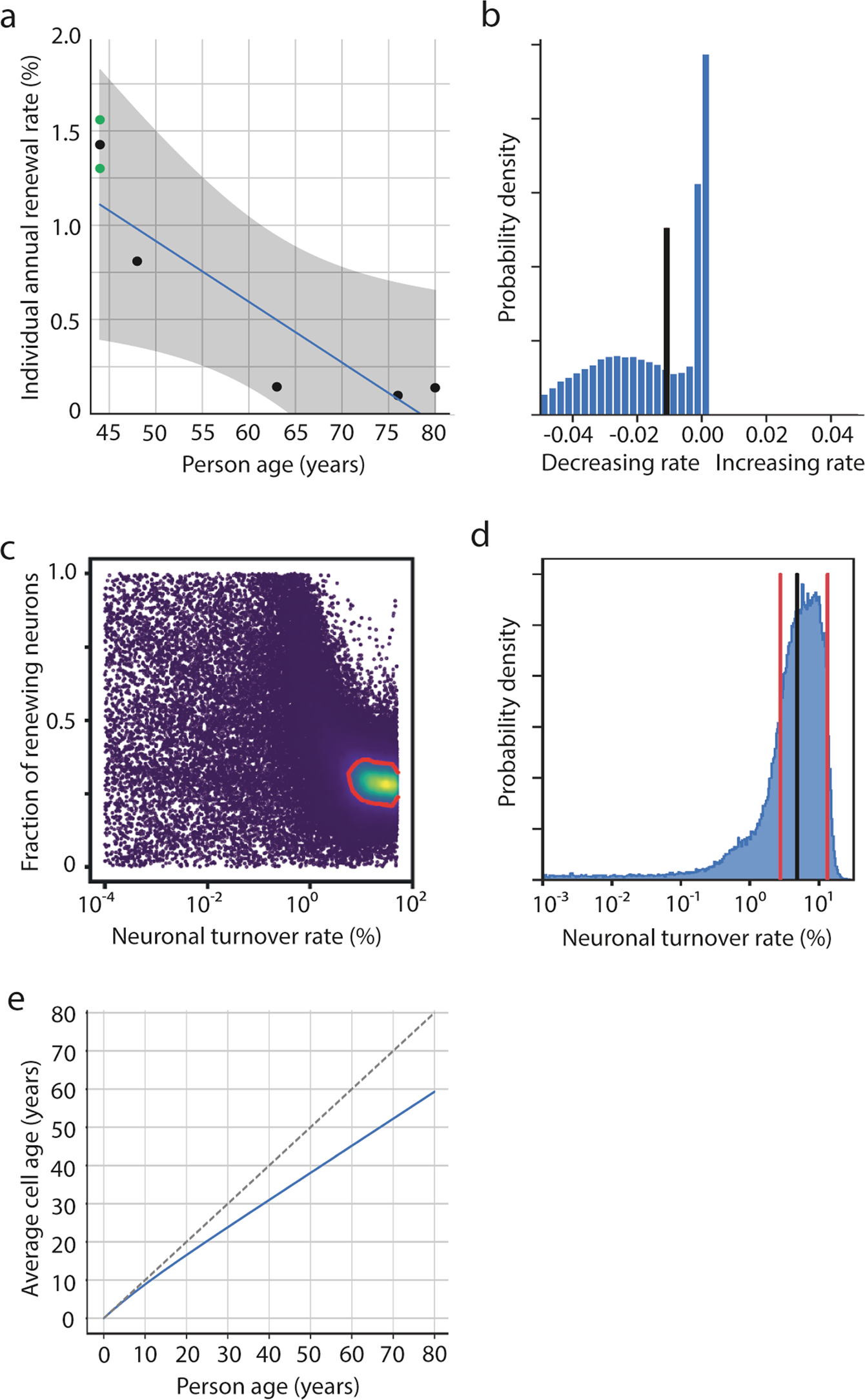 Fig. 3: Dynamics of neuronal cell turnover in the human amygdala.