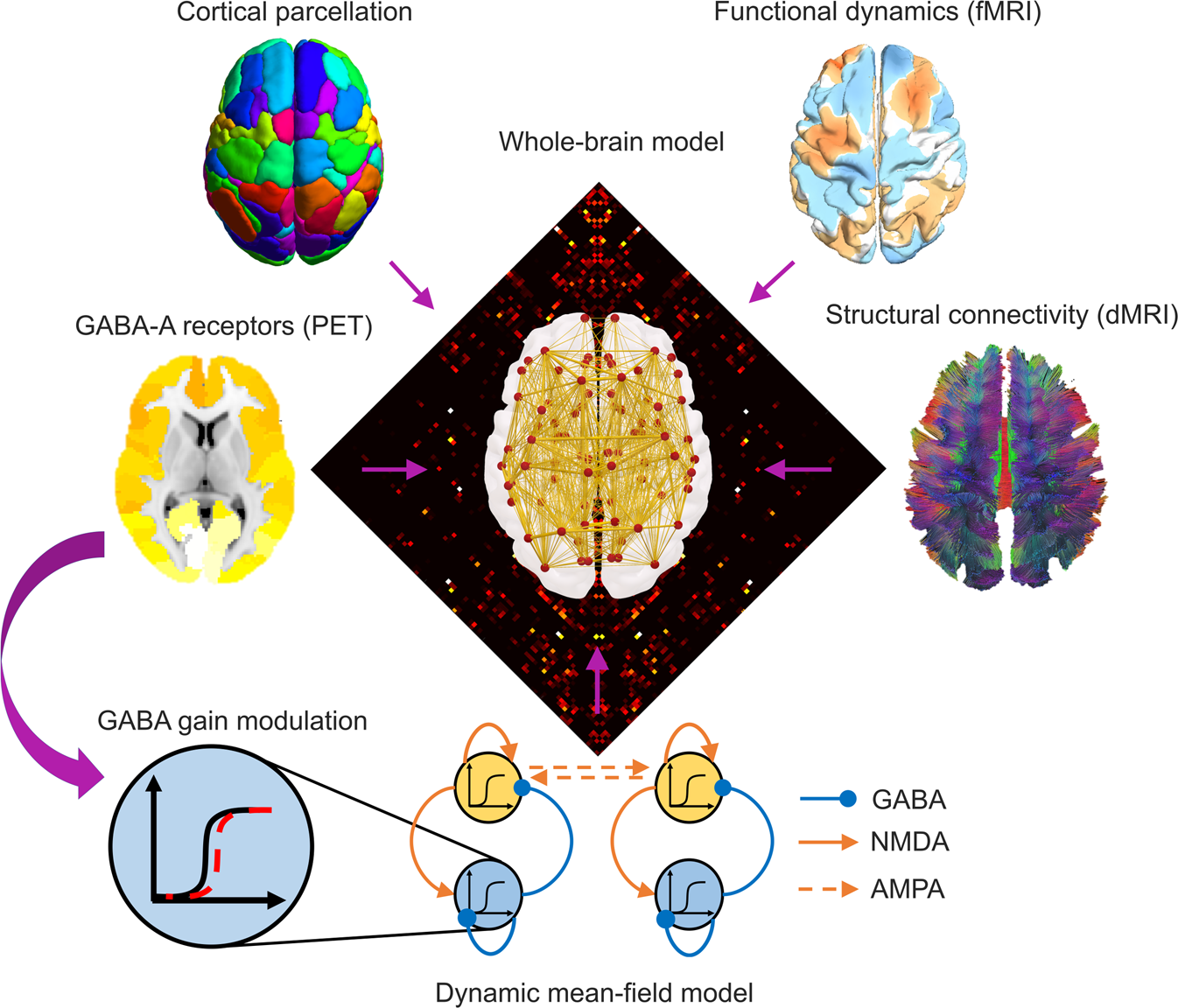 Whole-brain modelling identifies distinct but convergent paths to  unconsciousness in anaesthesia and disorders of consciousness |  Communications Biology