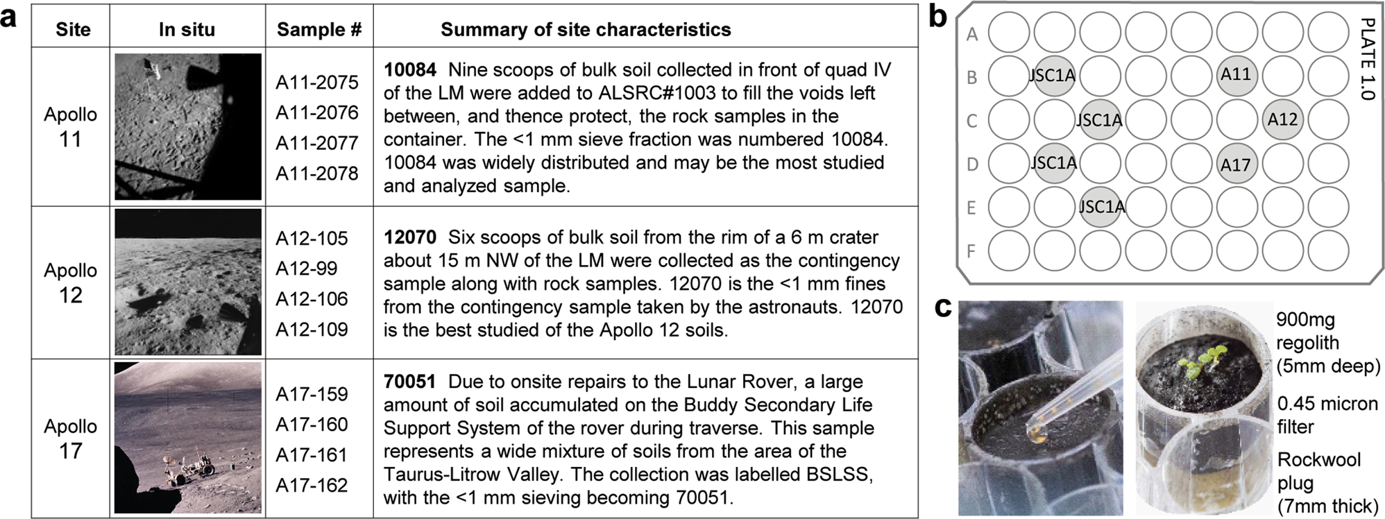 Plants Grown In Apollo Lunar Regolith Present Stress Associated Transcriptomes That Inform Prospects For Lunar Exploration Communications Biology Plants Grown In Apollo Lunar Regolith Present Stress Associated Transcriptomes That Inform Prospects For Lunar Exploration Communications Biology