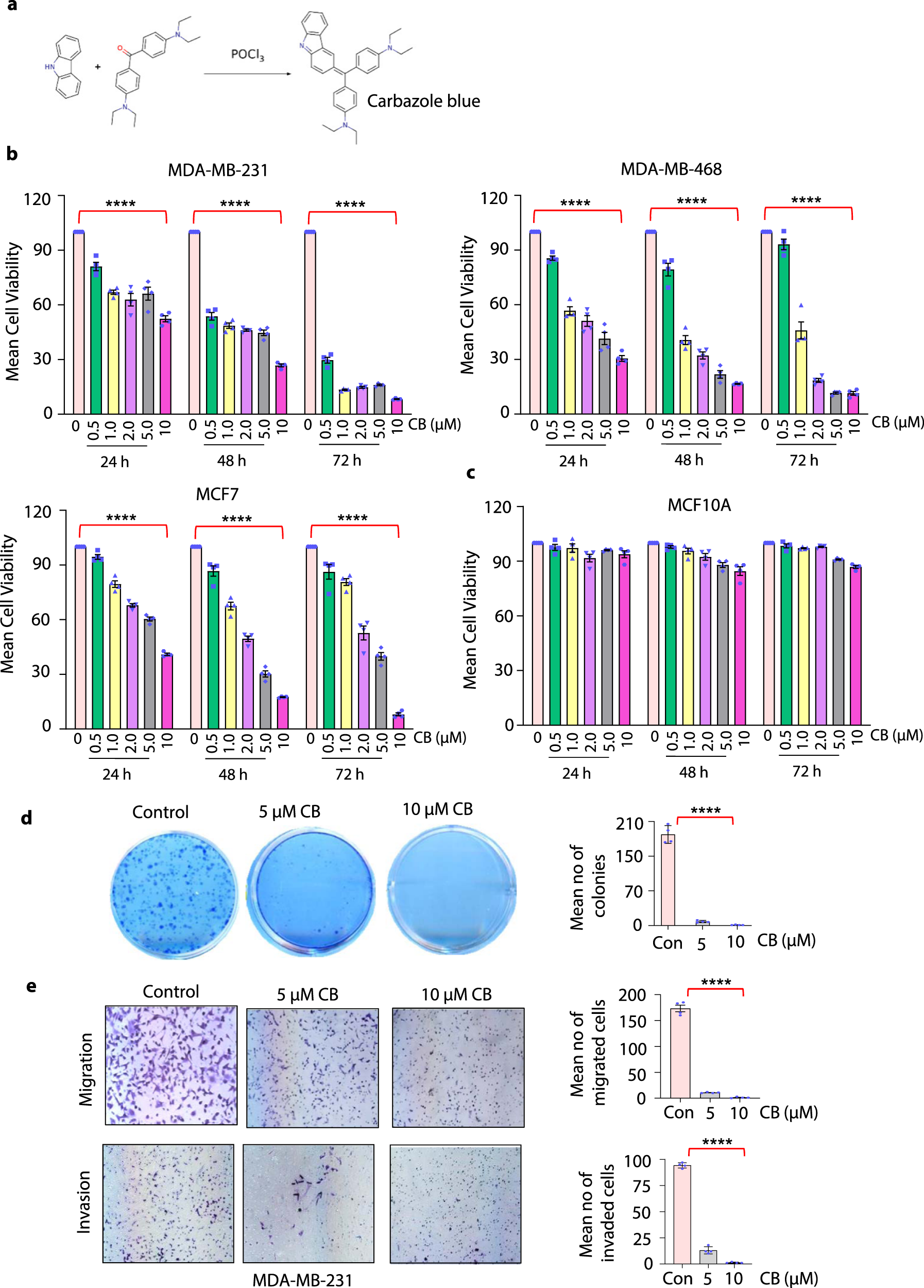 Fig. 1: Carbazole Blue inhibits growth and migration of breast cancer cells without affecting normal human mammary epithelial cells.