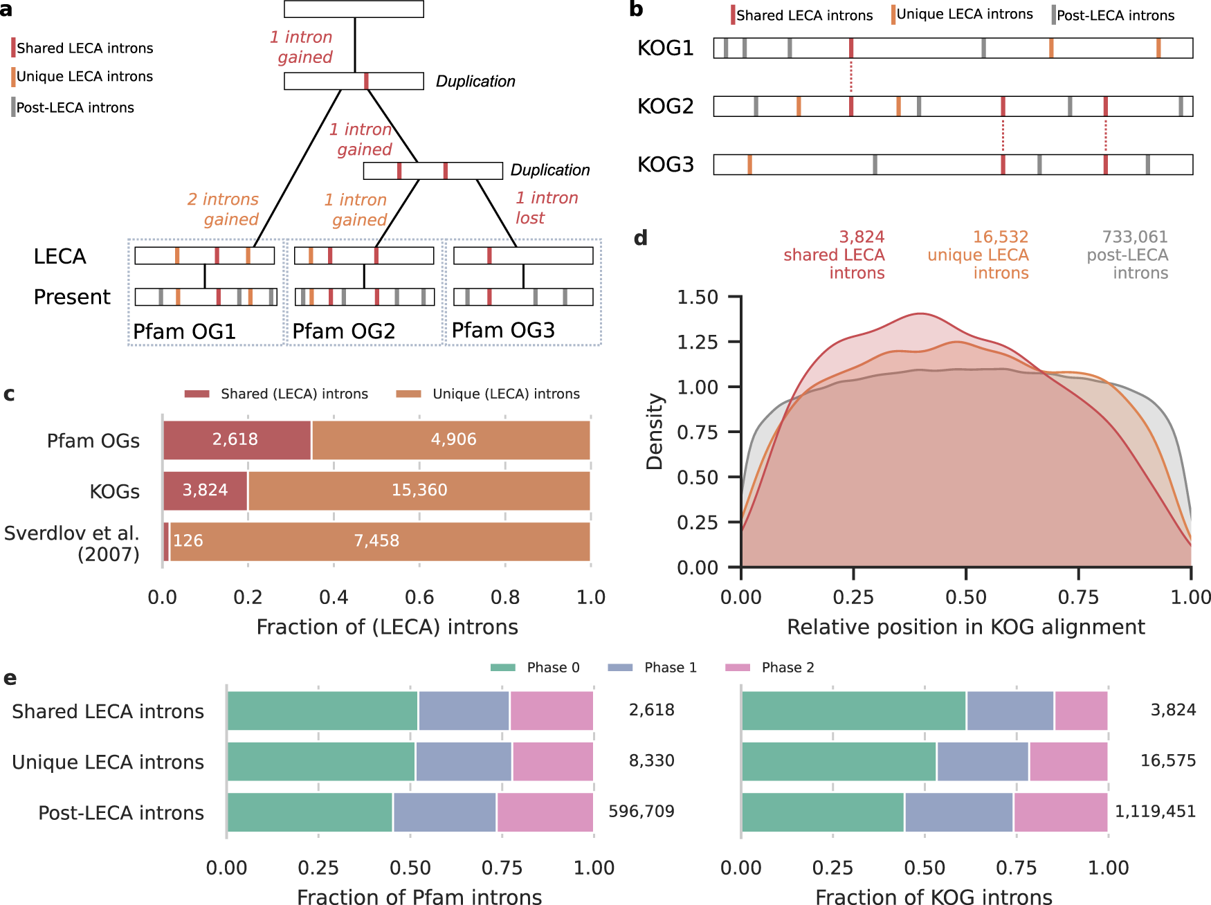 The Spread Of The First Introns In Proto Eukaryotic Paralogs Communications Biology