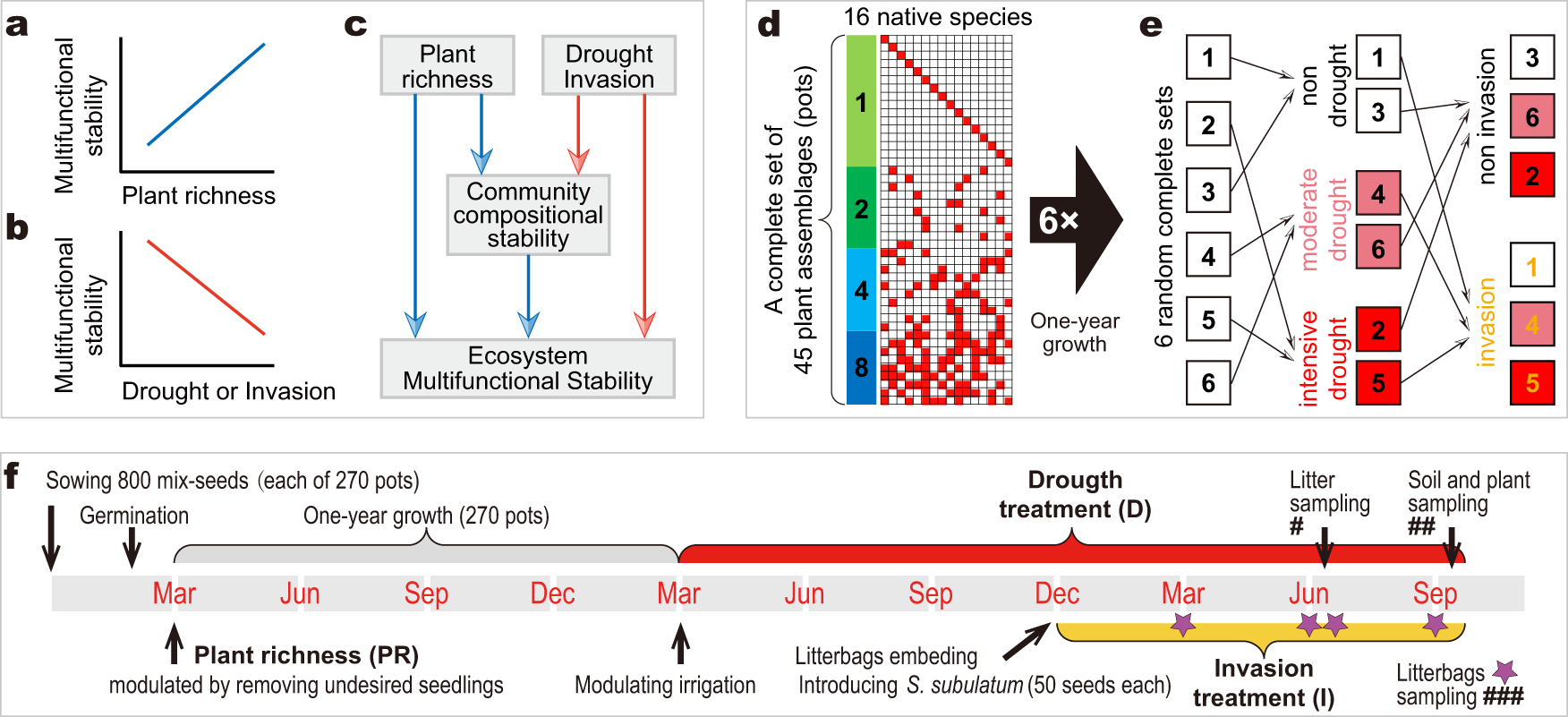 Intentional release of native species undermines ecological stability