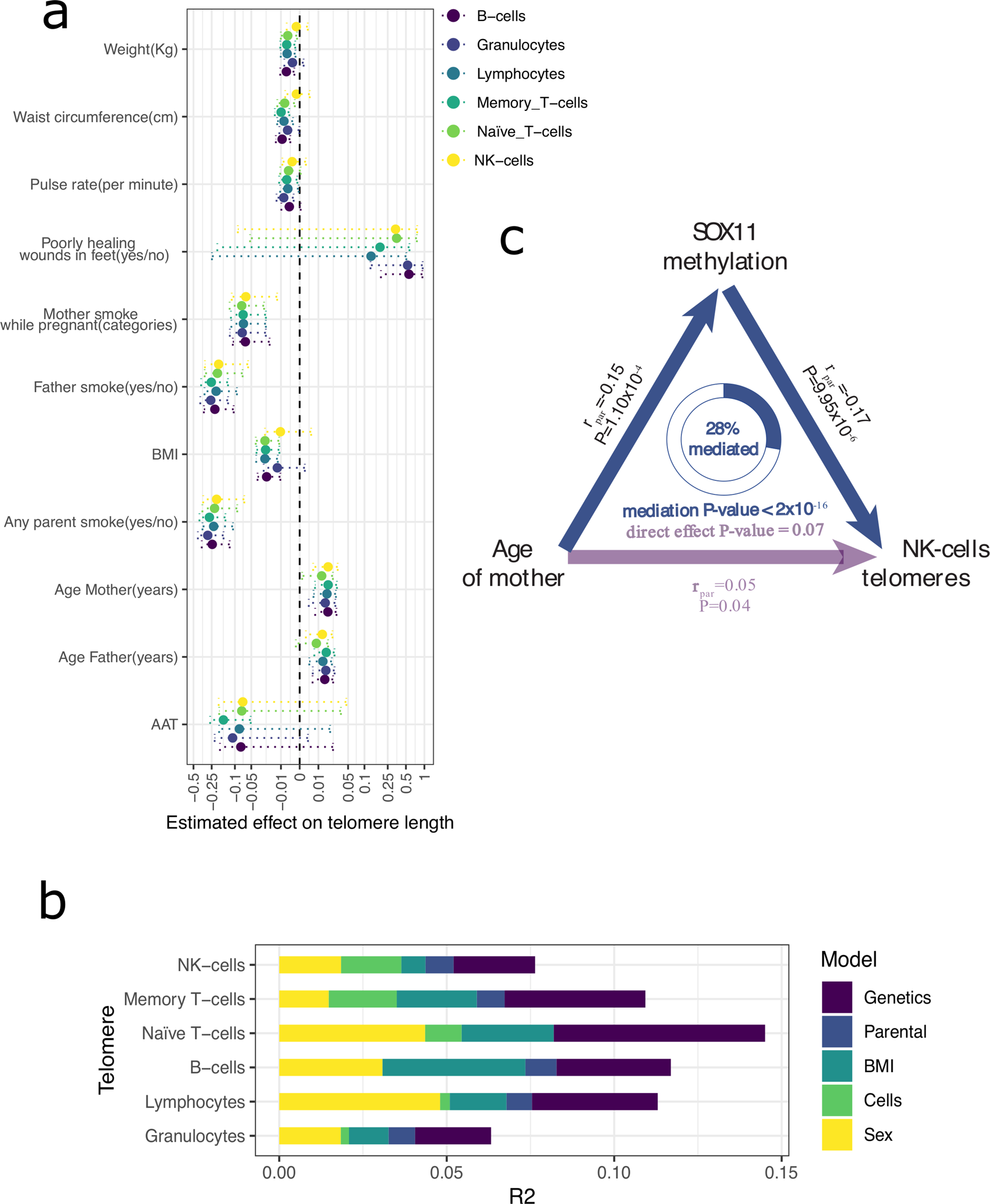 Fig. 3: Non-genetic factors contribute to telomere variation.