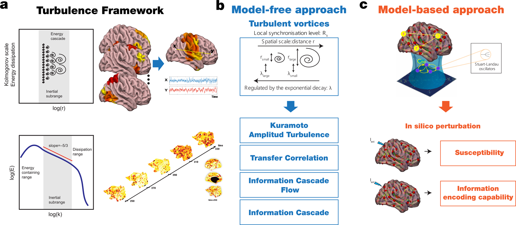 Unifying turbulent dynamics framework distinguishes different brain states  | Communications Biology