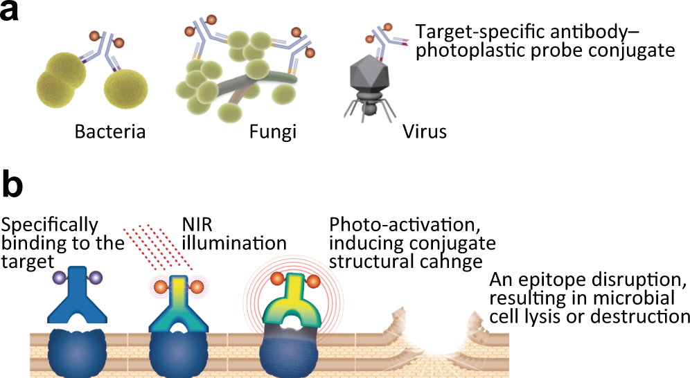 Pathogens, Free Full-Text