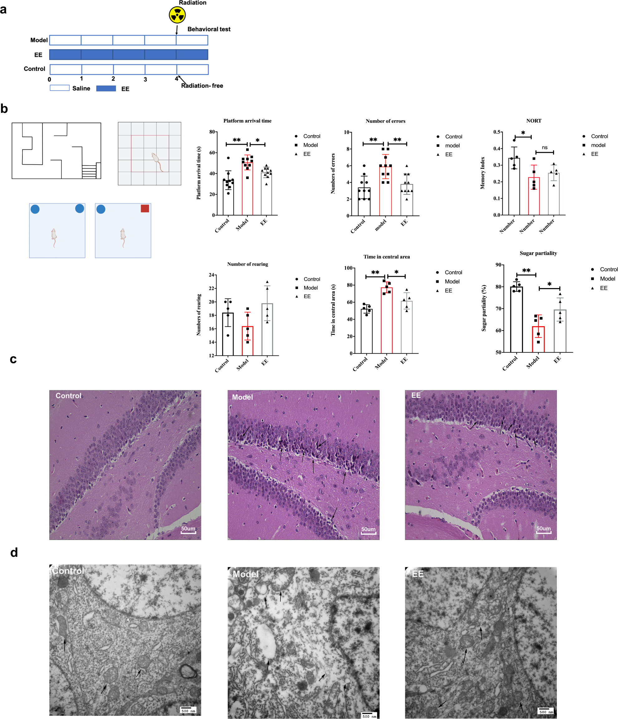 Eleutheroside E  prevents radiation