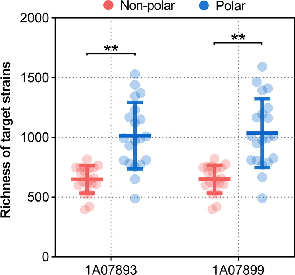Fig. 2: Global distribution of L. salsilacus.