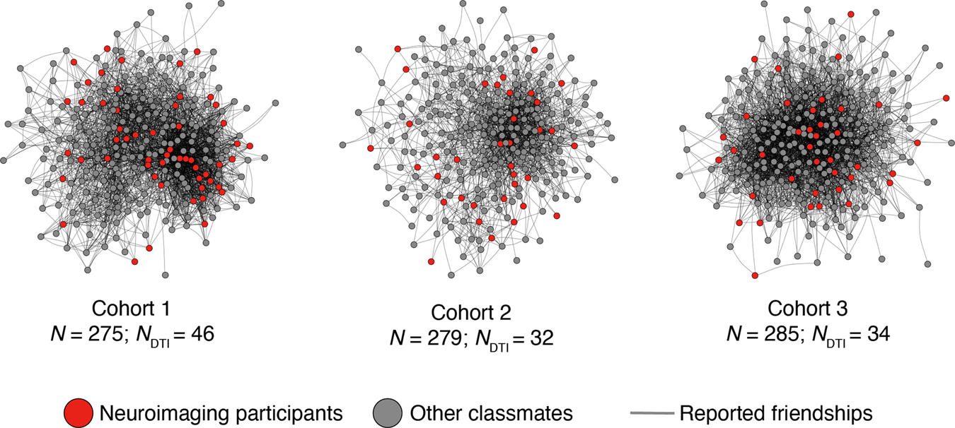 White matter connectivity in brain networks supporting social and affective  processing predicts real-world social network characteristics |  Communications Biology