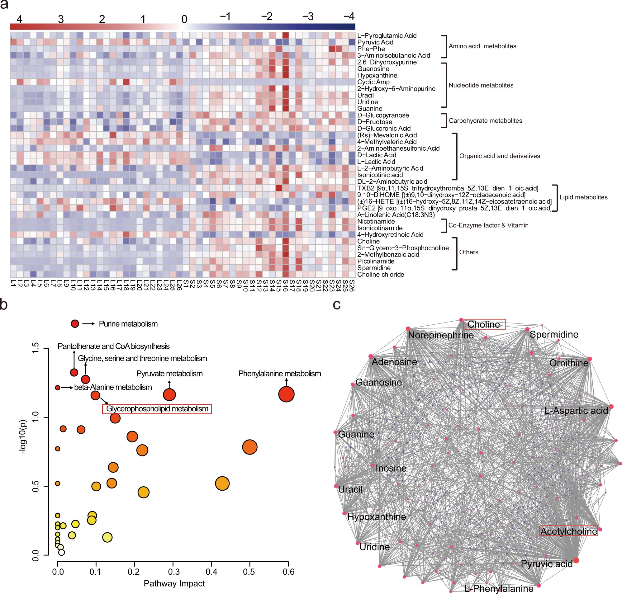 Fig. 3: Metabolomic pathway analysis of differential metabolites in follicular fluid.