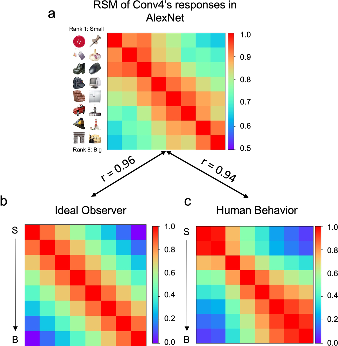 Real-world size of objects serves as an axis of object space |  Communications Biology