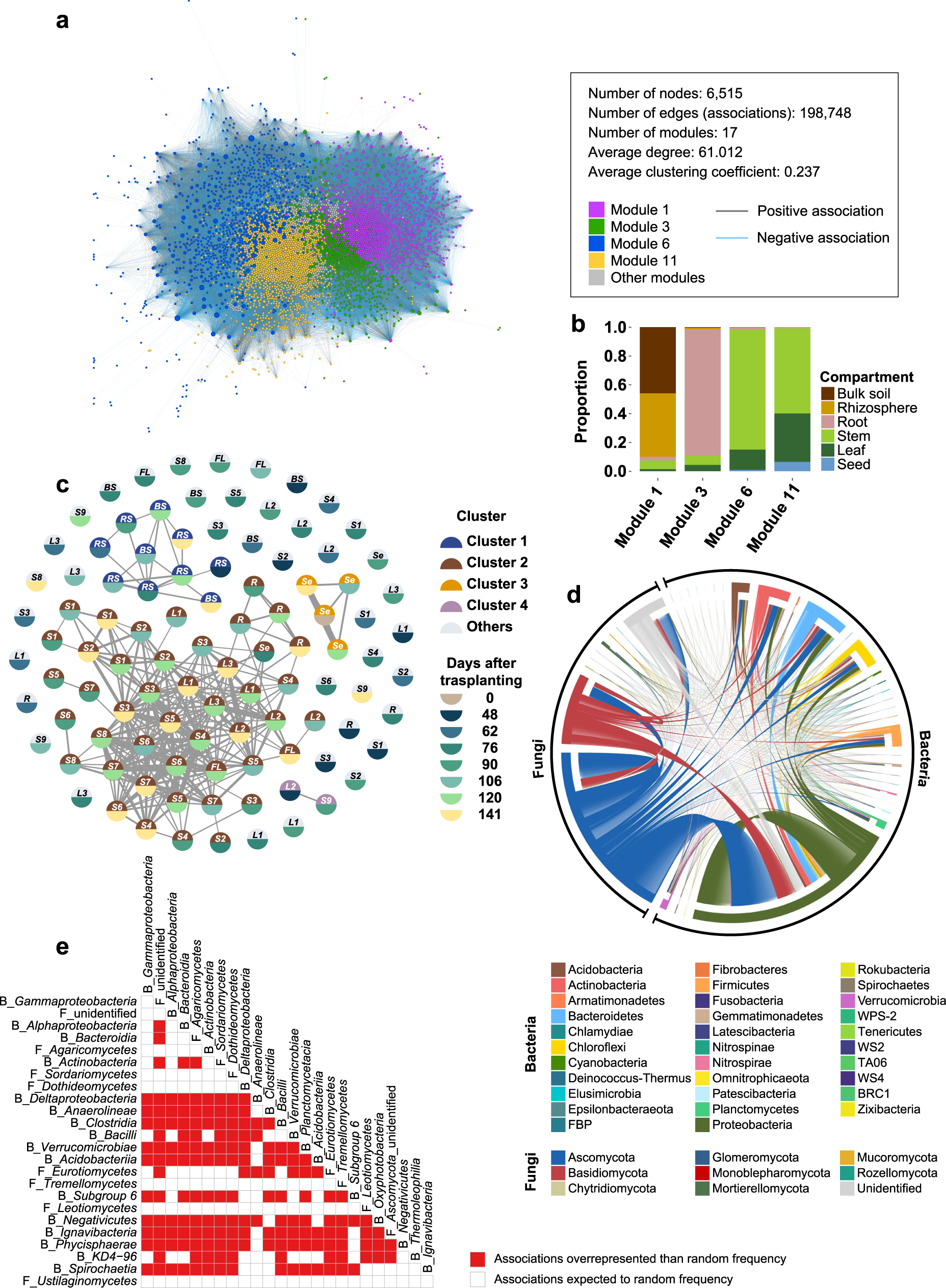 Fig. 5: Global meta-network of rice-associated bacterial and fungal communities.