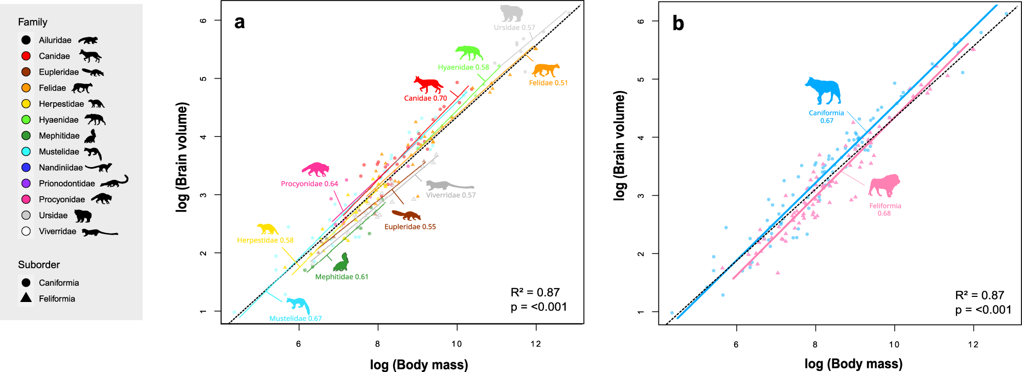 PDF) Evolutionary Economics of Mental Time Travel?