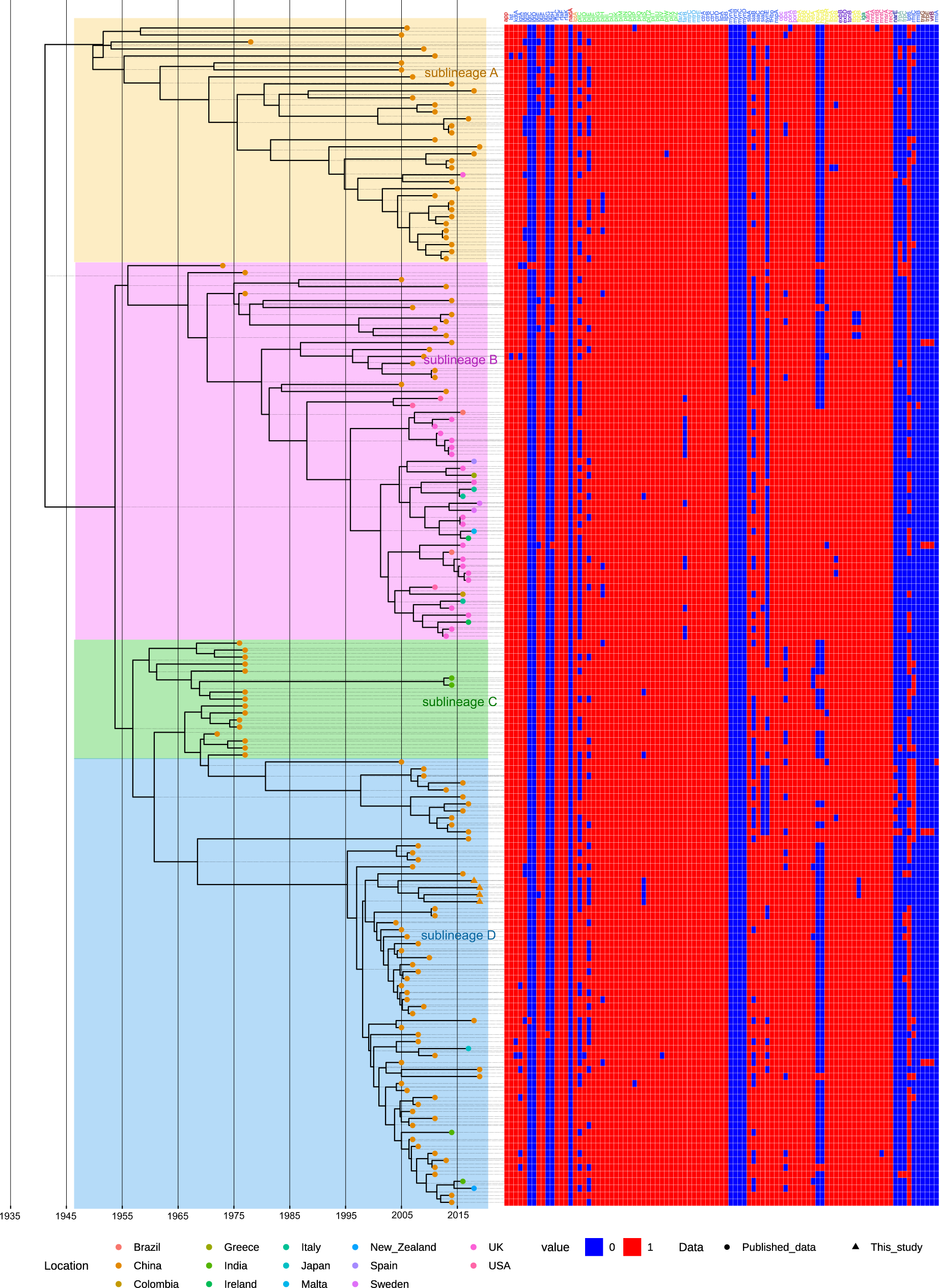 Fig. 5: Presence or absence of virulence genes amongst CC4821 isolates.