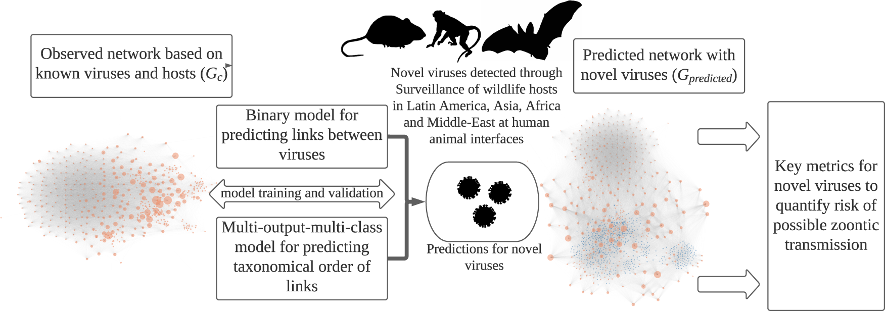 Predicting the potential for zoonotic transmission and host associations  for novel viruses | Communications Biology