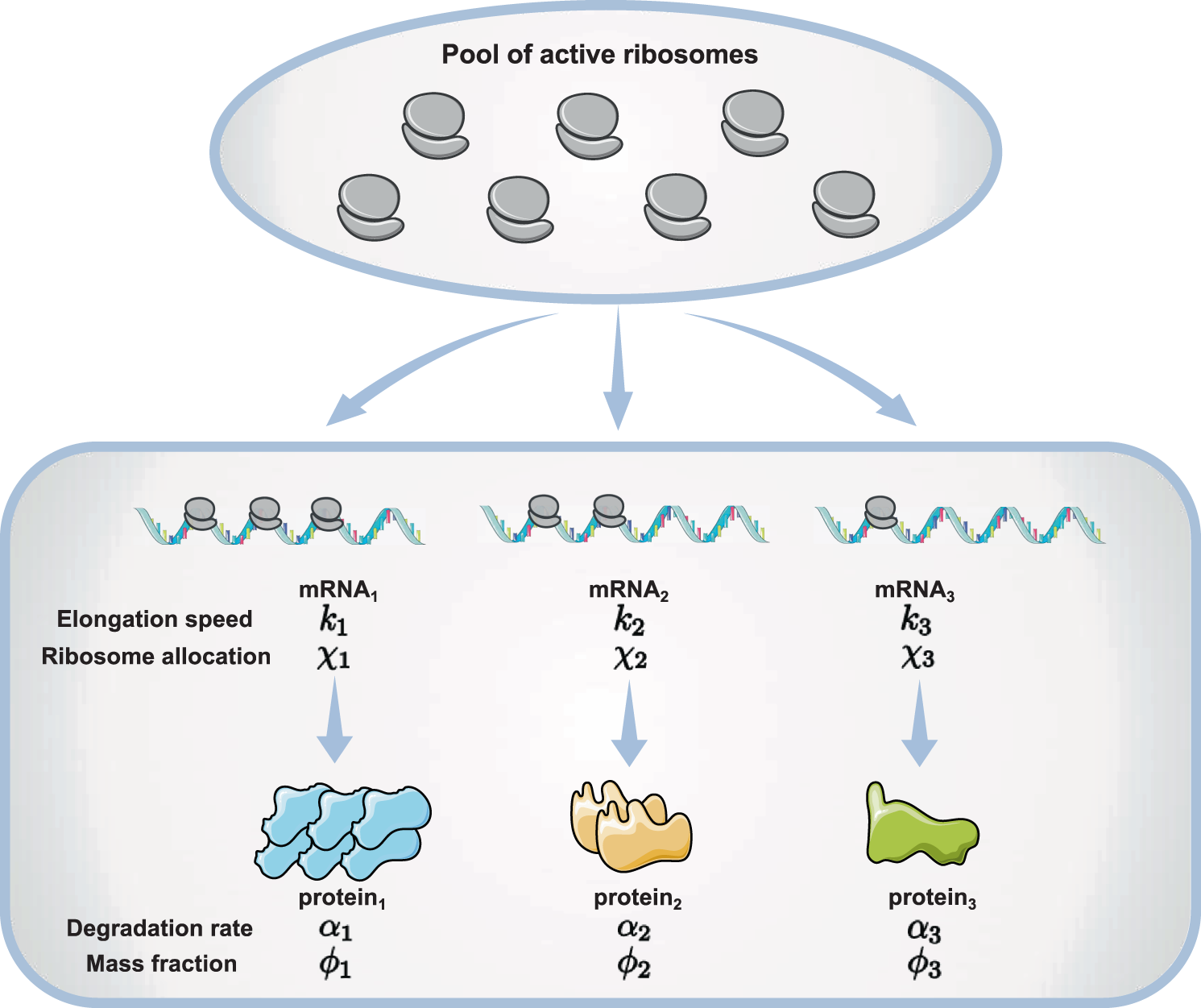 Environment-specificity and universality of the microbial growth 