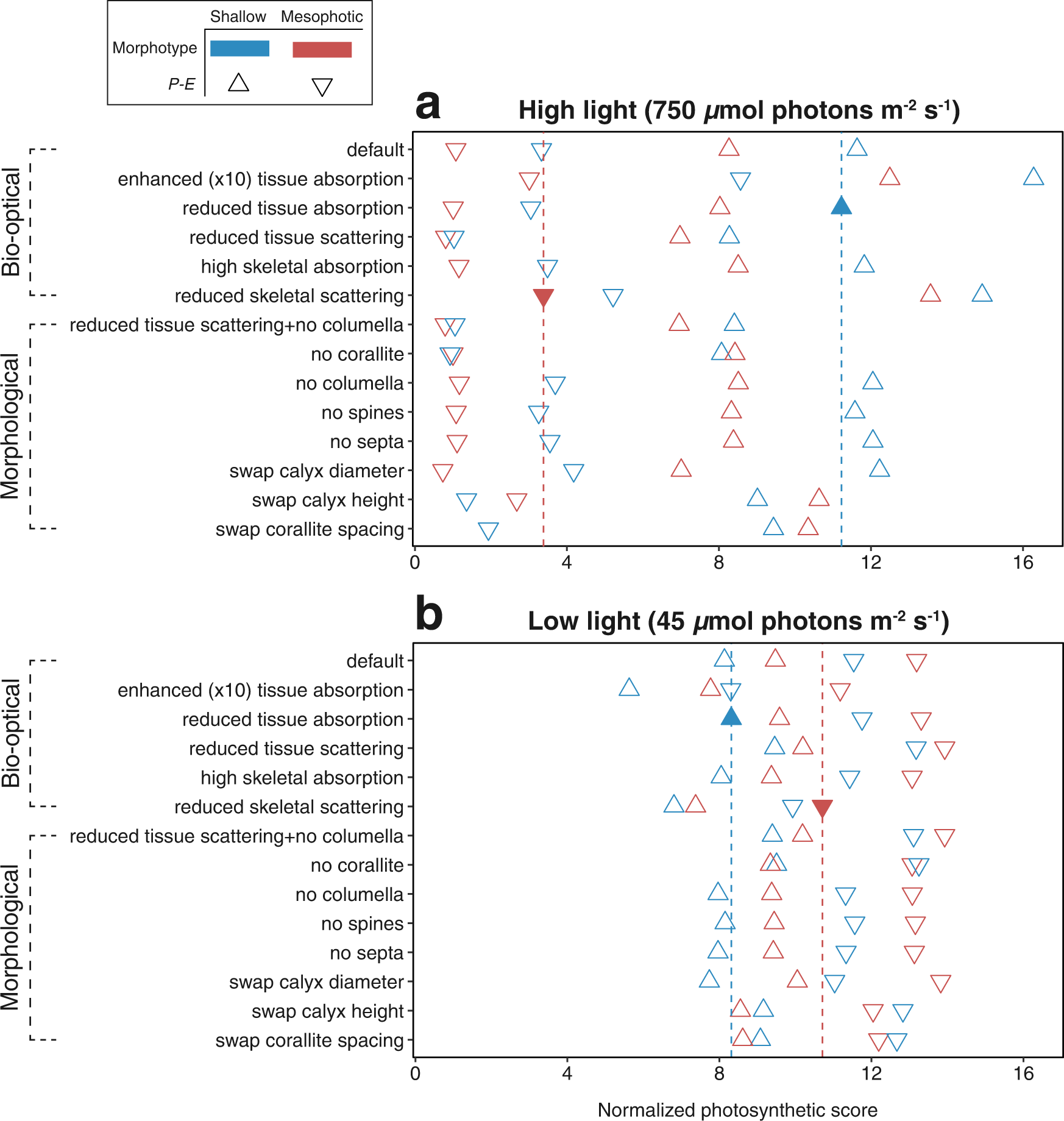 Fig. 6: Photosynthetic scores normalized per tissue pixel of different bio-optical and morphological simulation scenarios.