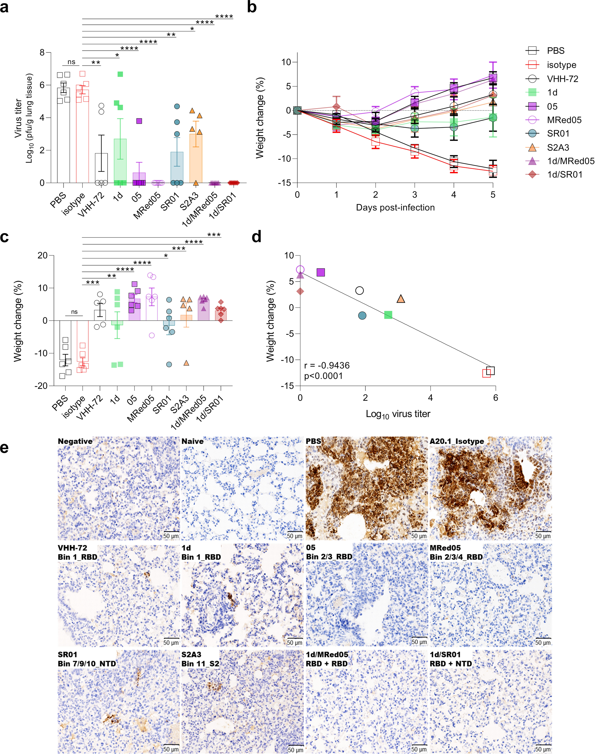 Fig. 6: VHH-Fcs showed strong protective efficacy in hamsters challenged with SARS-CoV-2.