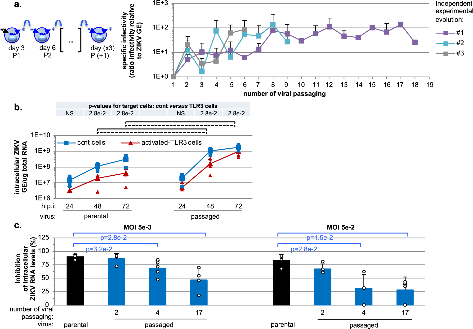 Adaptation To Host Cell Environment During Experimental Evolution Of Zika Virus Communications Biology Adaptation To Host Cell Environment During Experimental Evolution Of Zika Virus Communications Biology