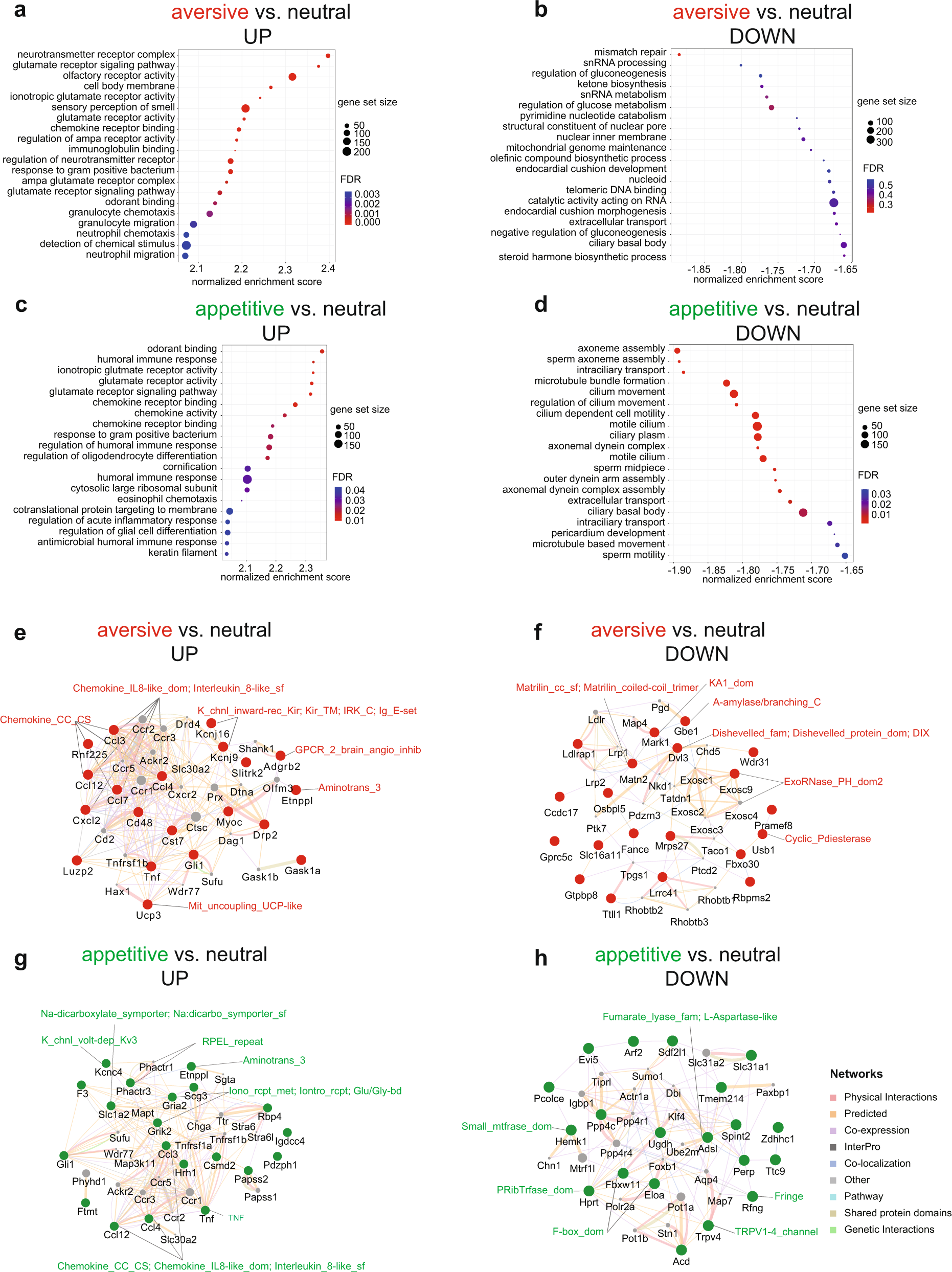 Fig. 4: Gene ontology and GeneMANIA analysis provide further mechanistic insight into the molecular landscape of appetite and aversive engram regulation.