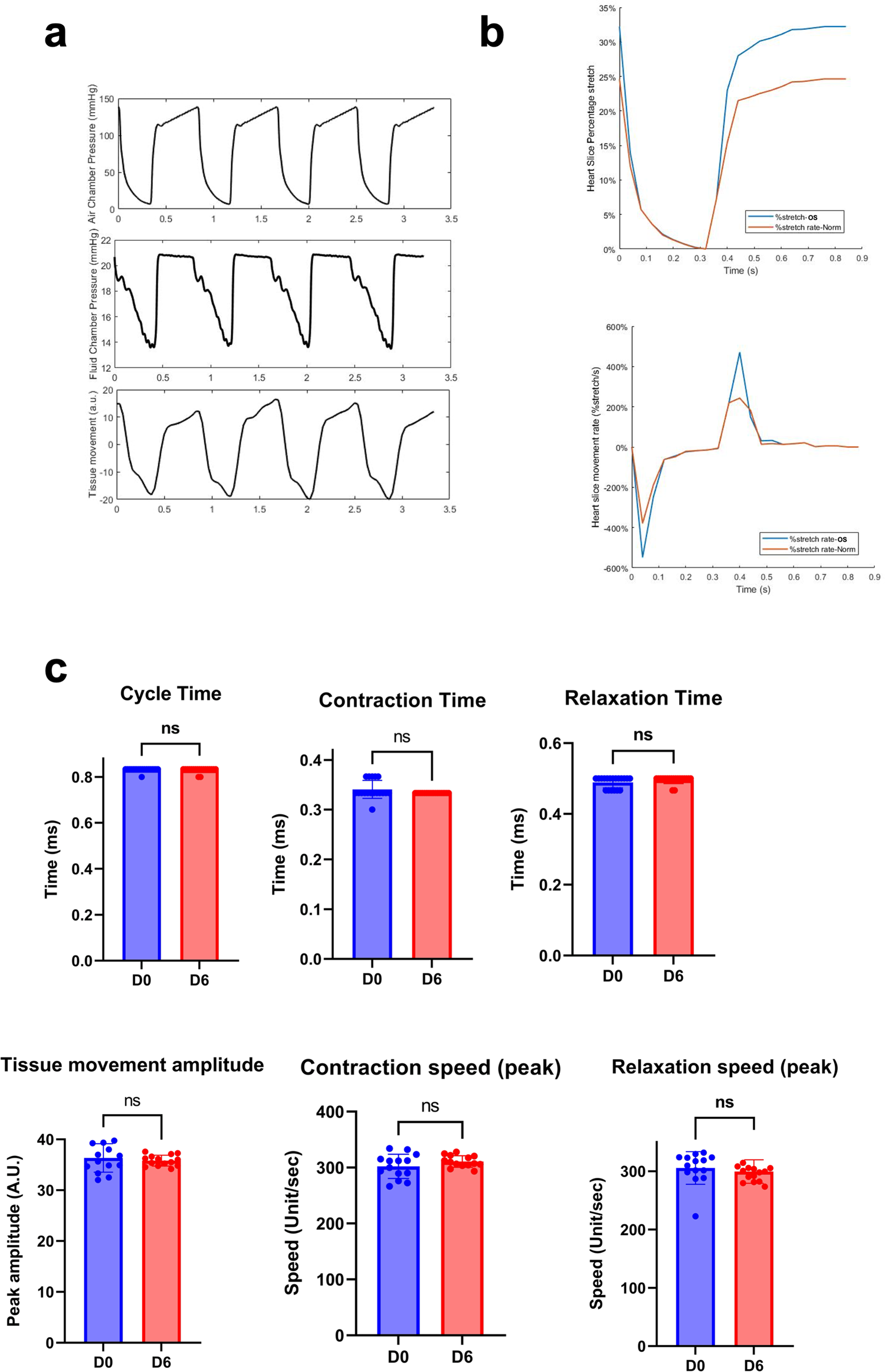 Fig. 6: Induction of pathological overstretching in heart slices cultured in CTCM device.