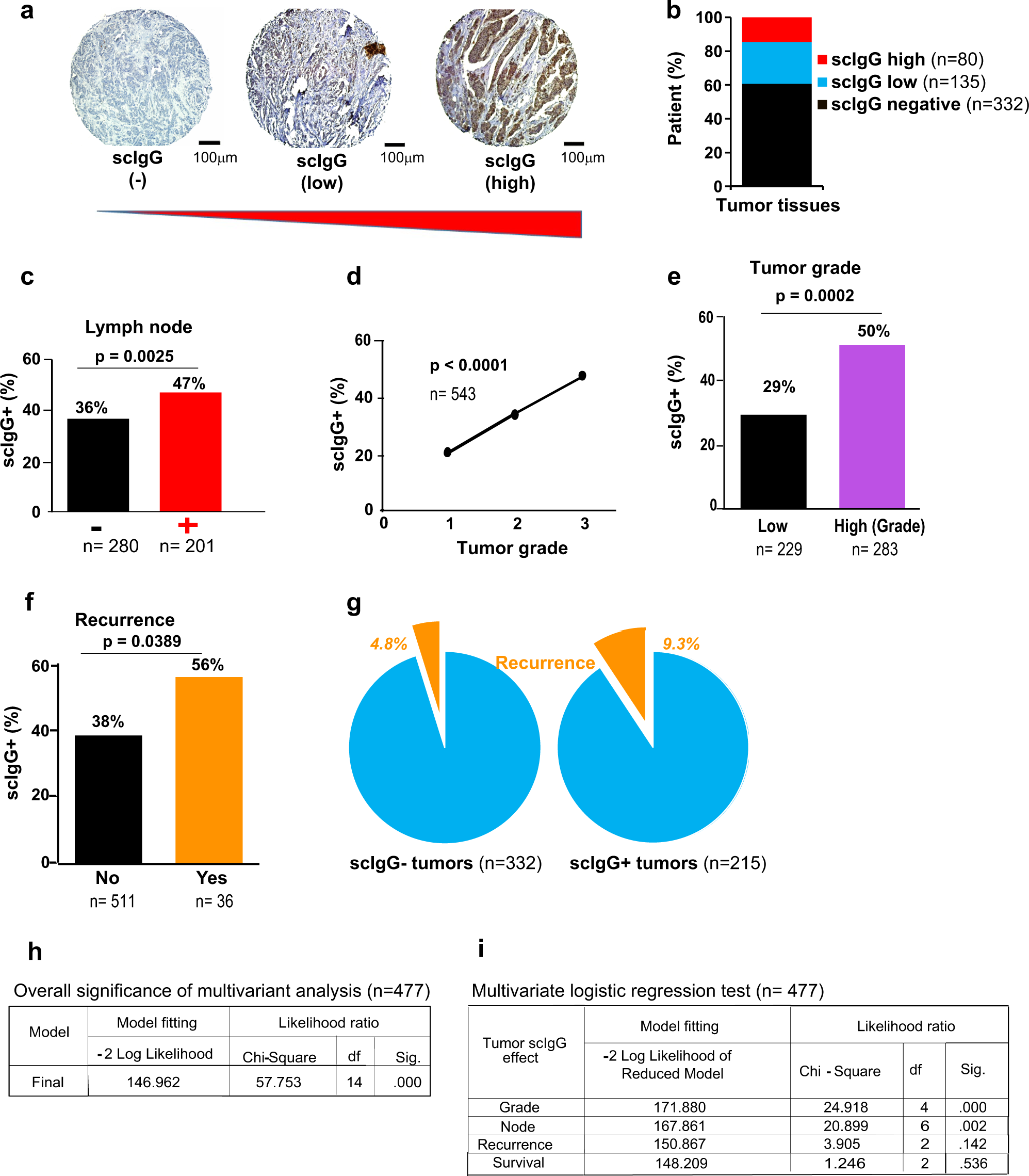 Impairment of IgG Fc functions promotes tumor progression and suppresses NK  cell antitumor actions | Communications Biology