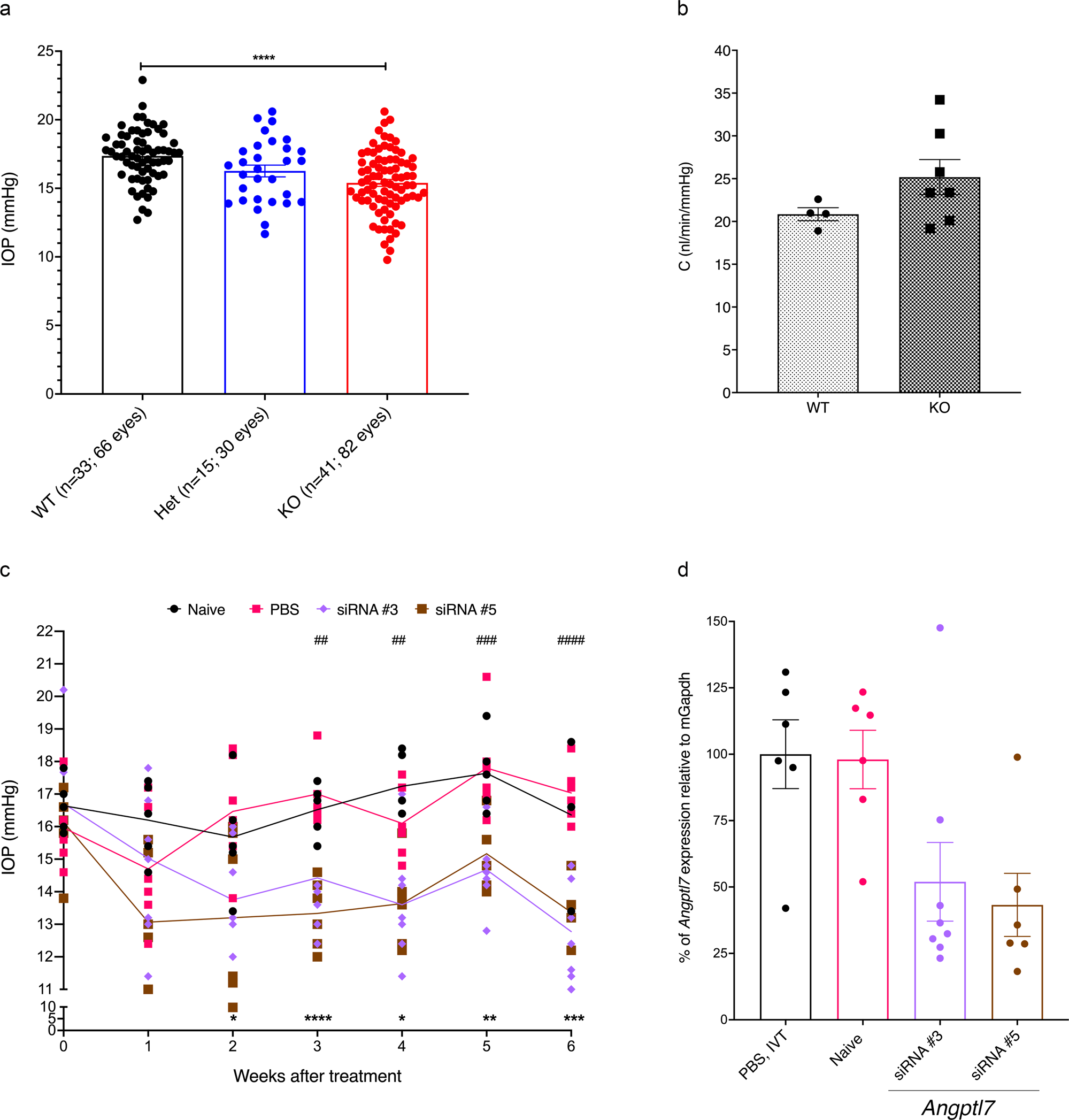 Fig. 8: Reducing mAngptl7 levels in mice lowers IOP.