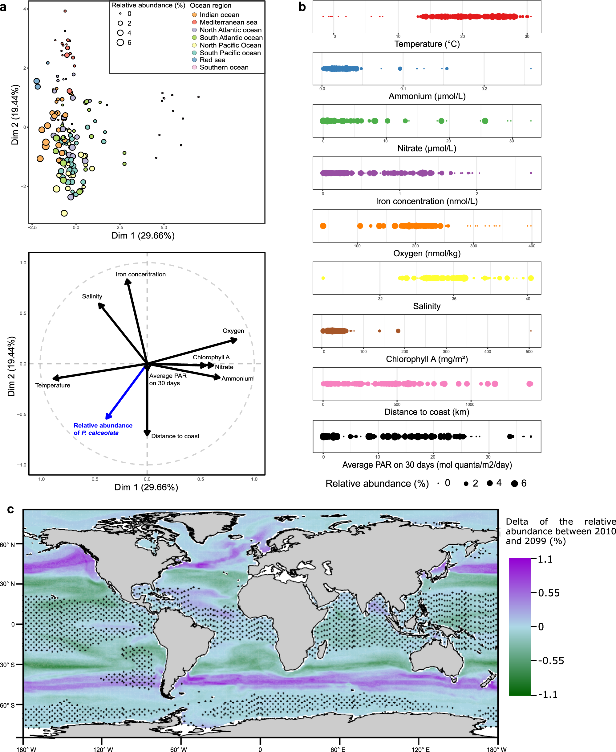 Fig. 3: Ecological niche of P. calceolata.