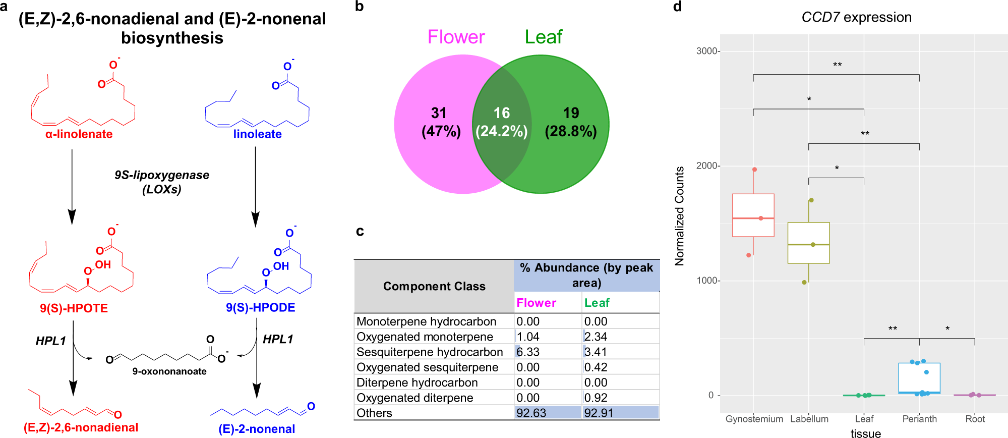 Fig. 8: Volatile profile of Ple. Miss Joaquim ‘Agnes’ using GC-HRMS.