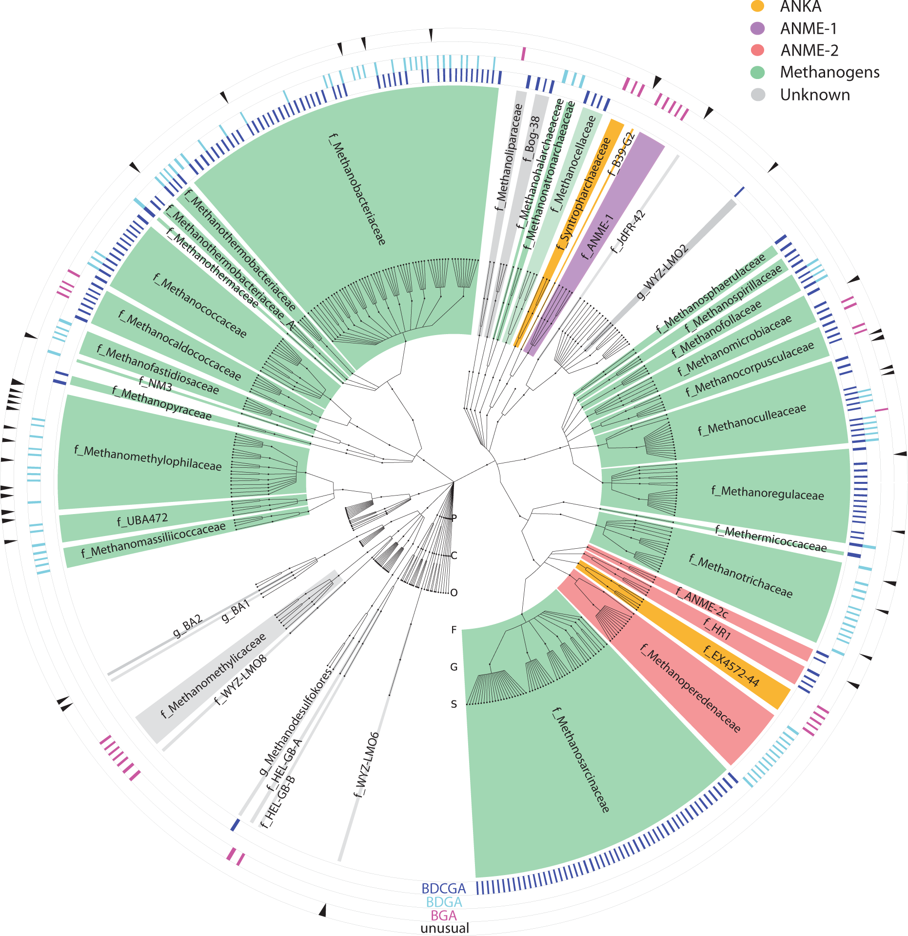 Expression of divergent methyl/alkyl coenzyme M reductases from uncultured  archaea | Communications Biology