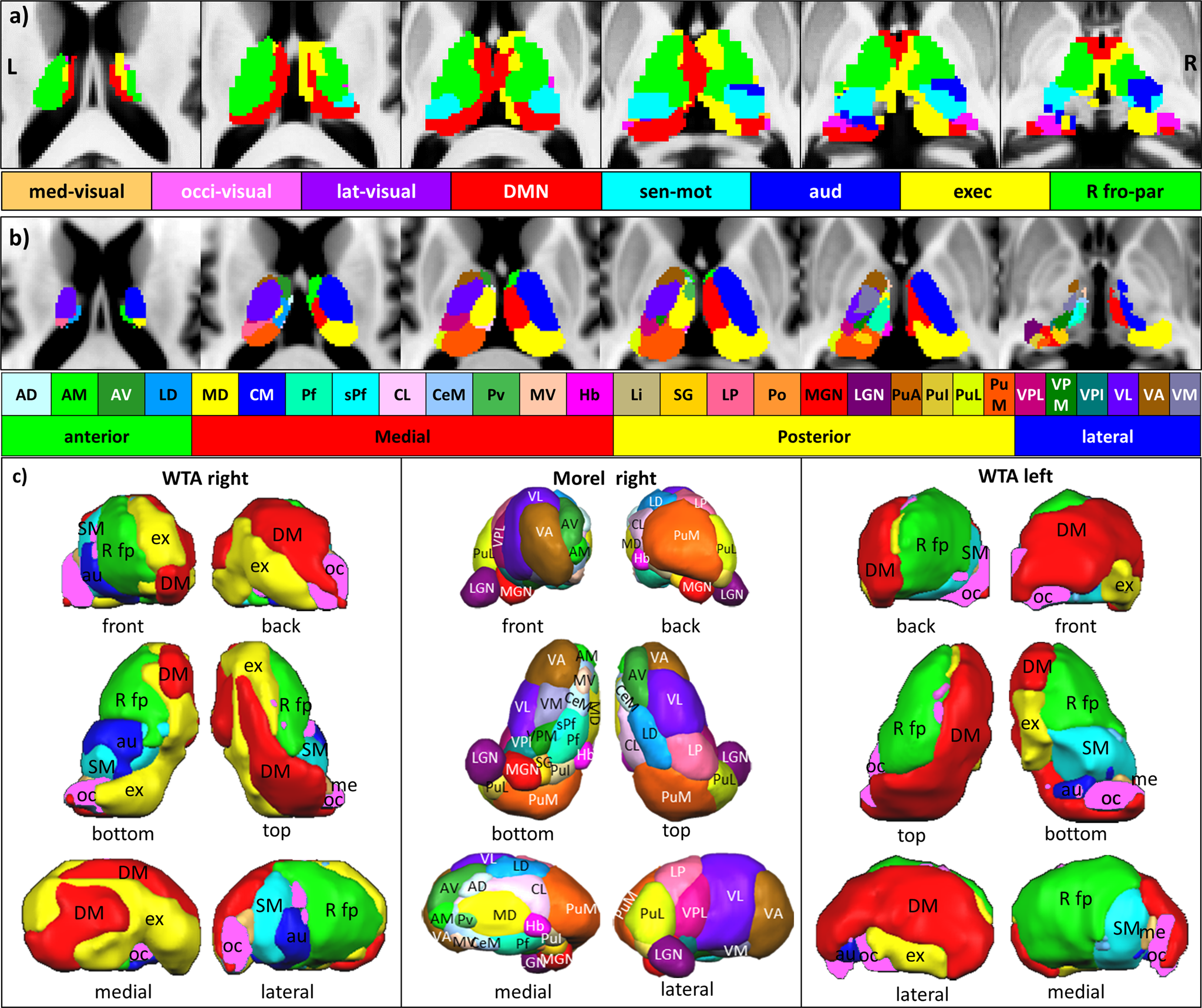 Fig. 5: Winner-takes-it-all (WTA) maps.