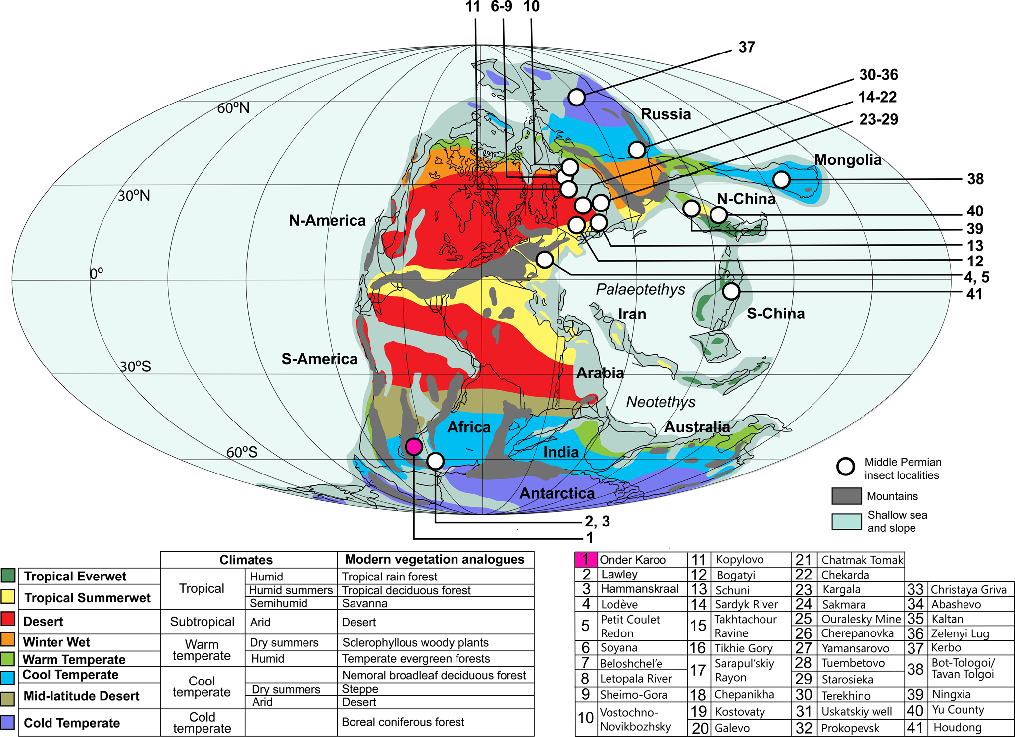 South African Lagerstätte reveals middle Permian Gondwanan lakeshore  ecosystem in exquisite detail | Communications Biology