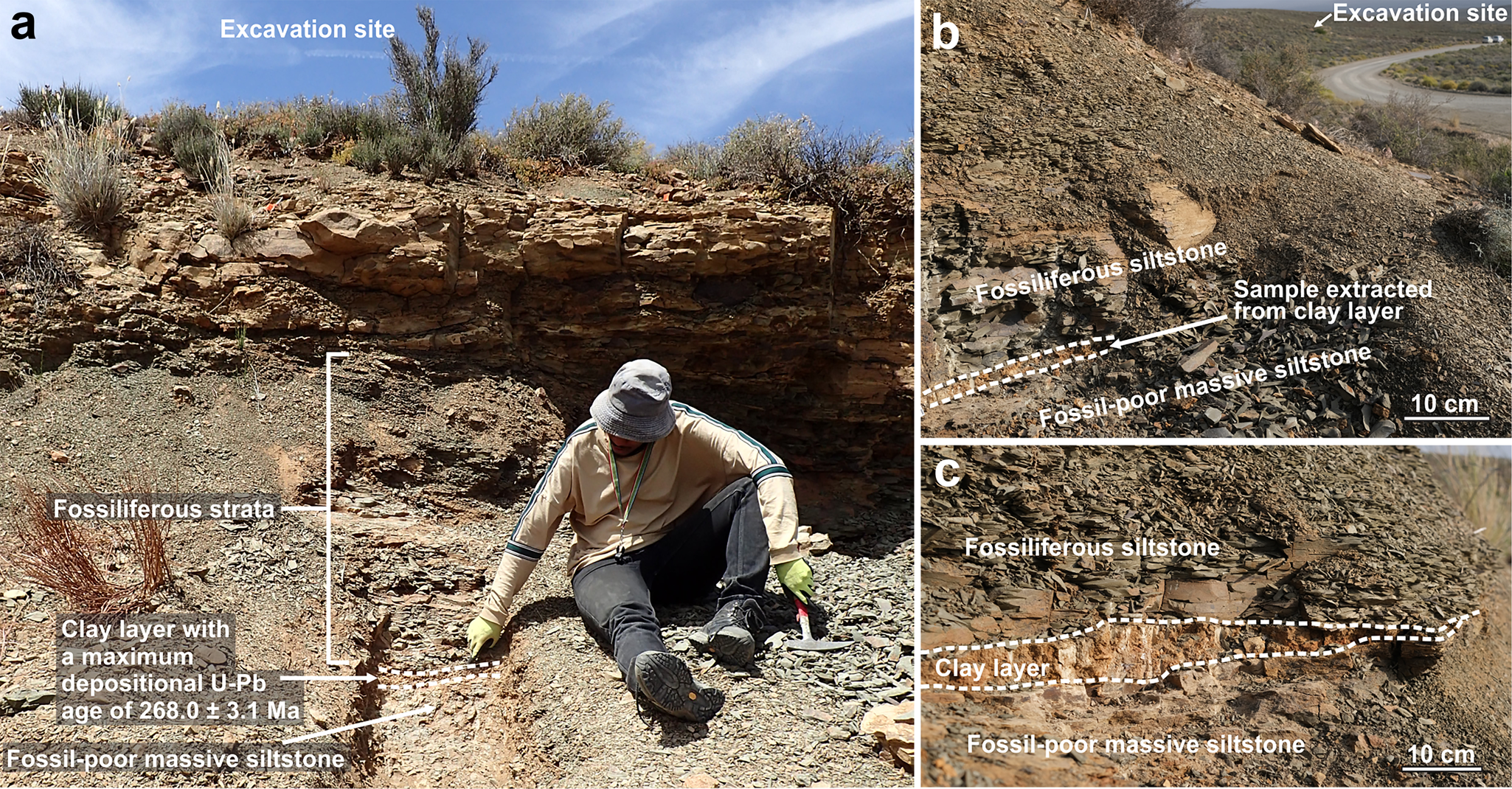 Fig. 3: Onder Karoo fossil locality.