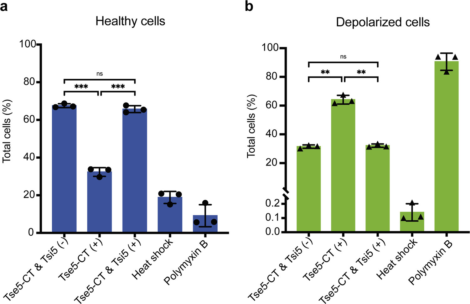Fig. 3: Tsi5 can protect from Tse5-induced membrane depolarisation.