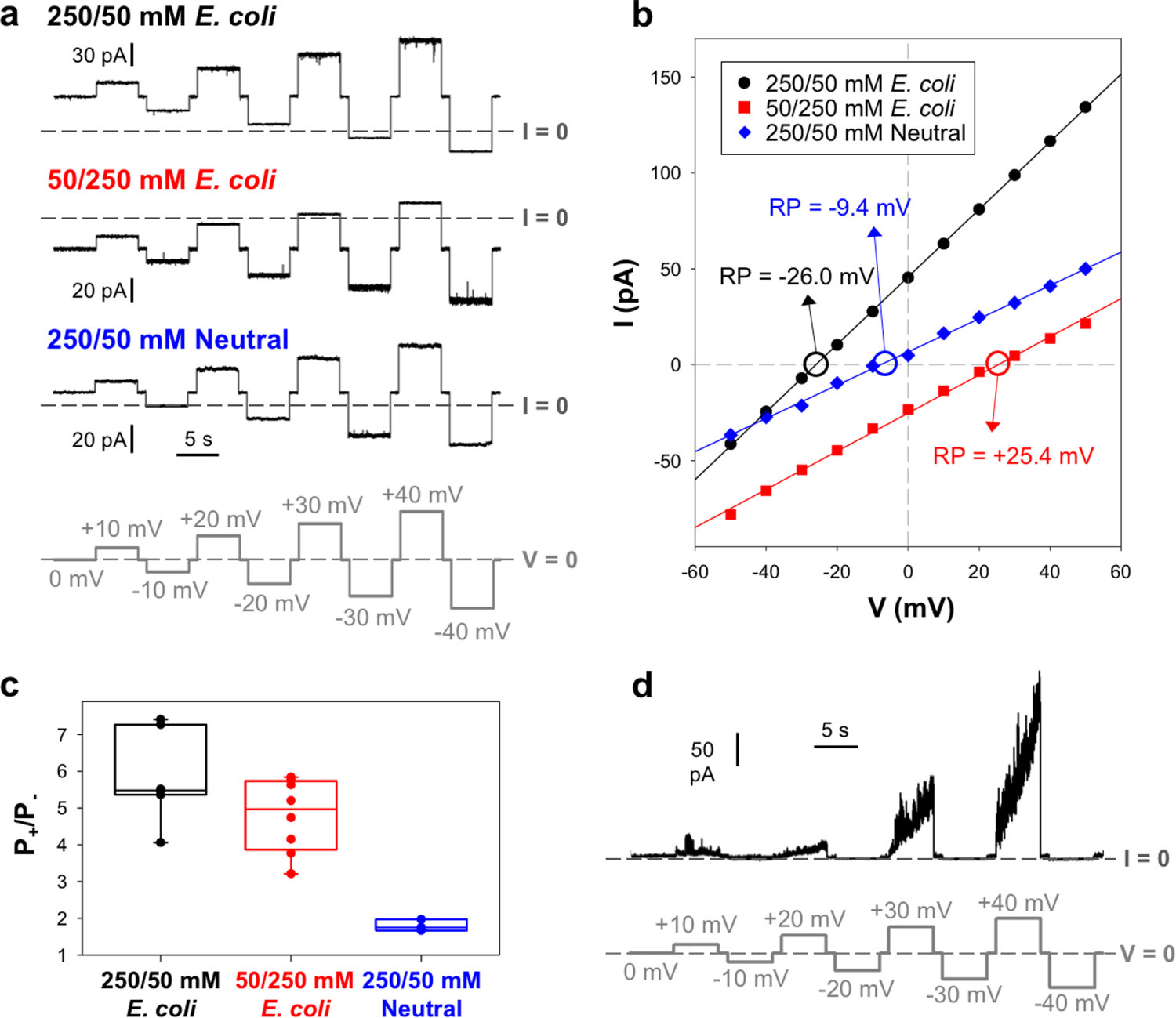 Fig. 5: Tse5-CT forms stable pores with ohmic behaviour and preference for cations, and some pores with noisy currents and strong voltage dependence.