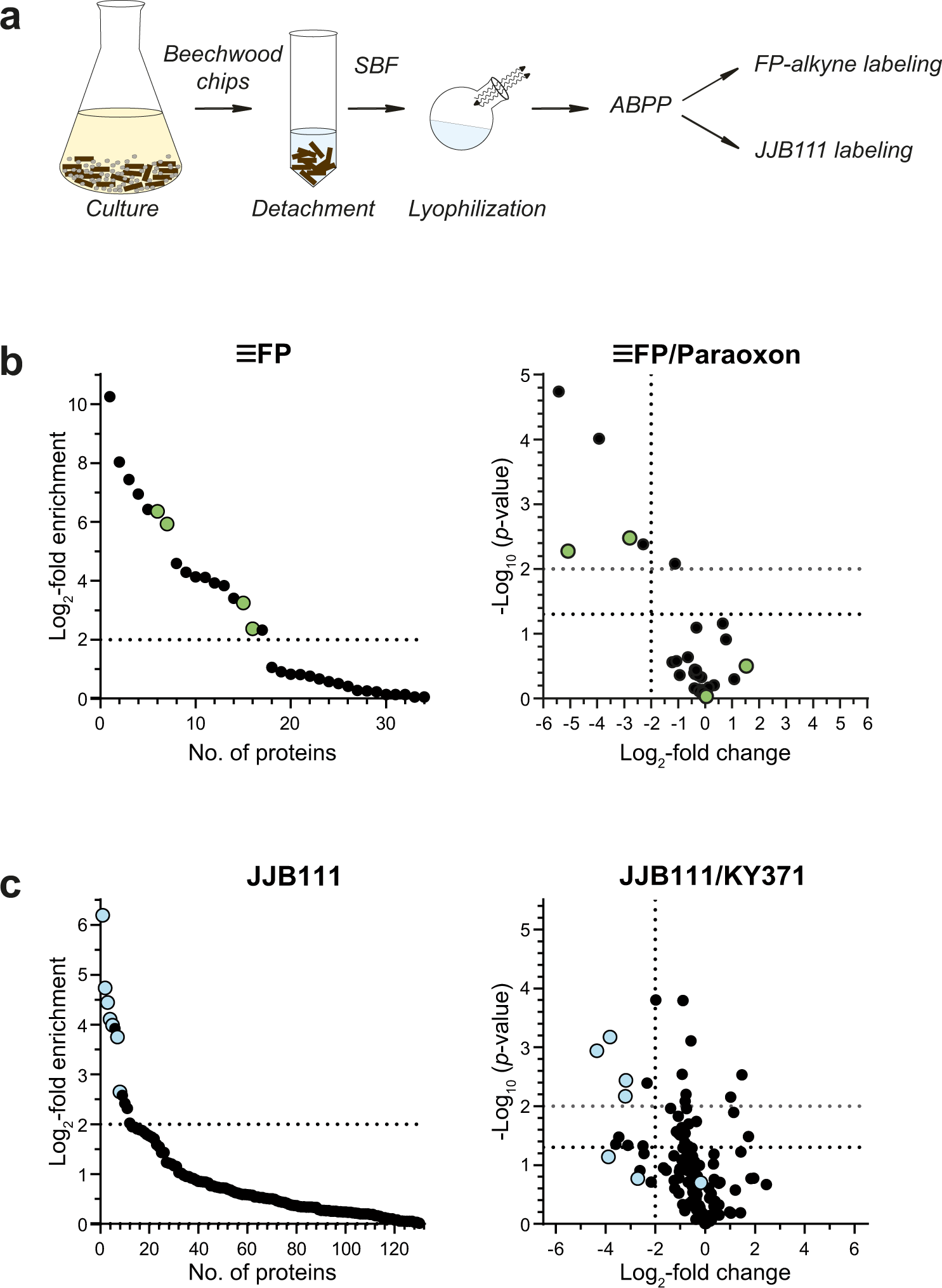 Fig. 3: ABPP of P. chrysosporium substrate-bound fraction (SBF).