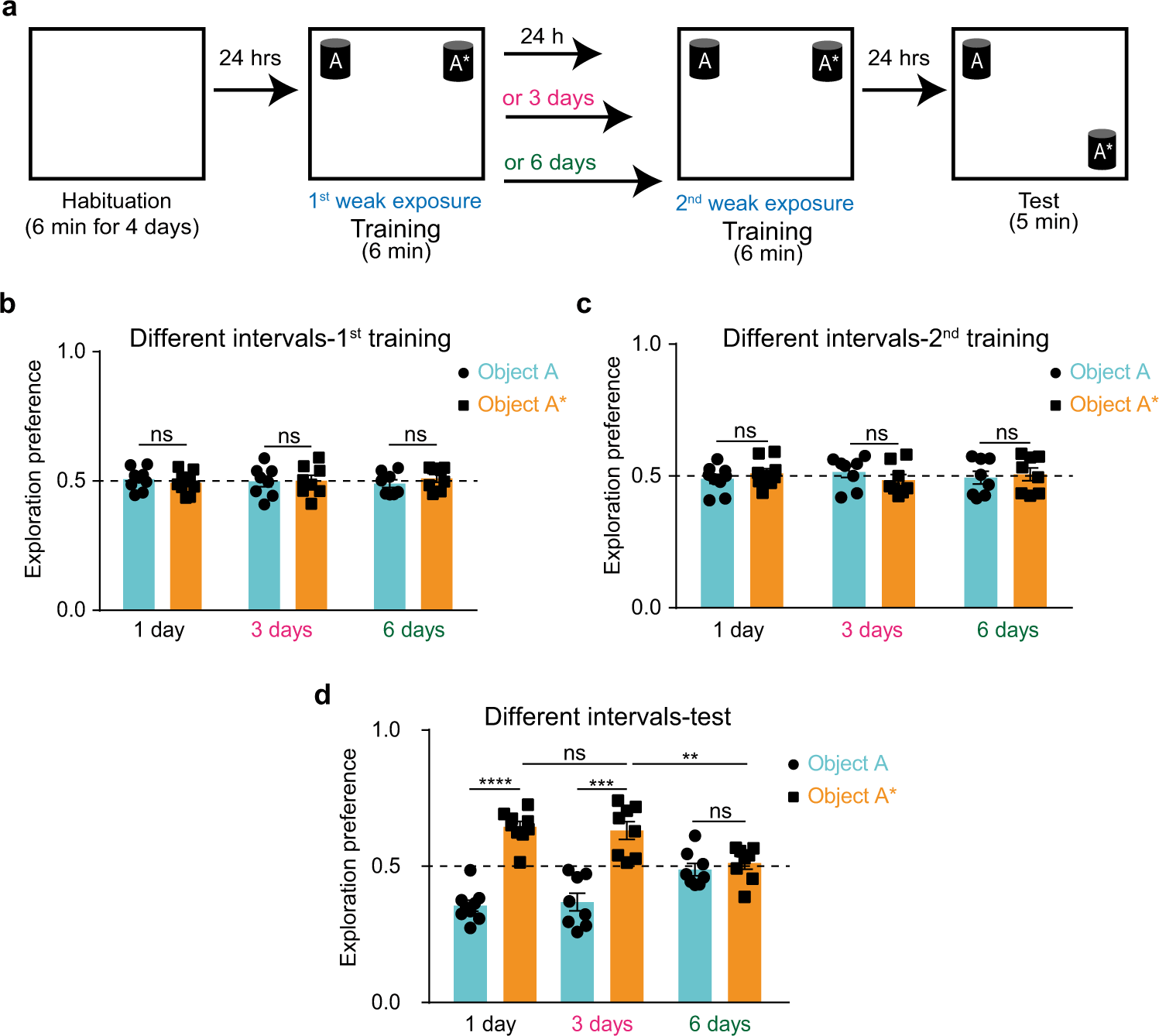 Fig. 3: Re-exposure facilitates STM consolidation.