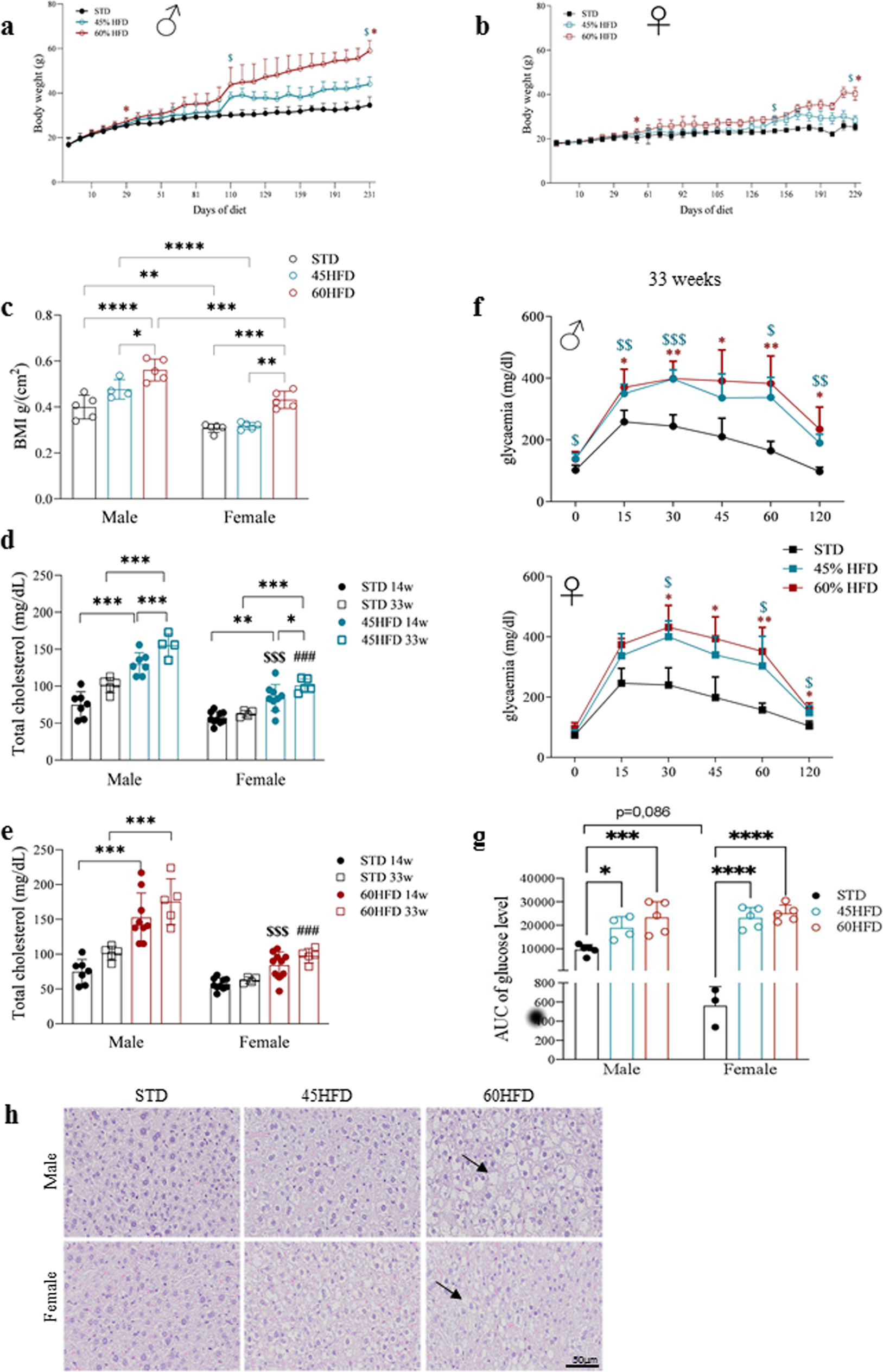 Brain sex-dependent alterations after prolonged high fat diet exposure in mice Communications Biology image