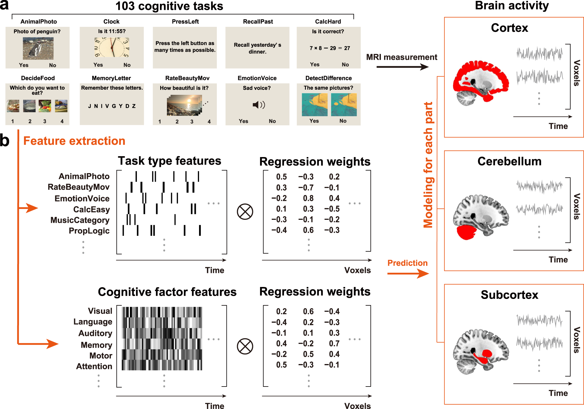 BrainFx 360  Comprehensive Cognitive Functional Assessment