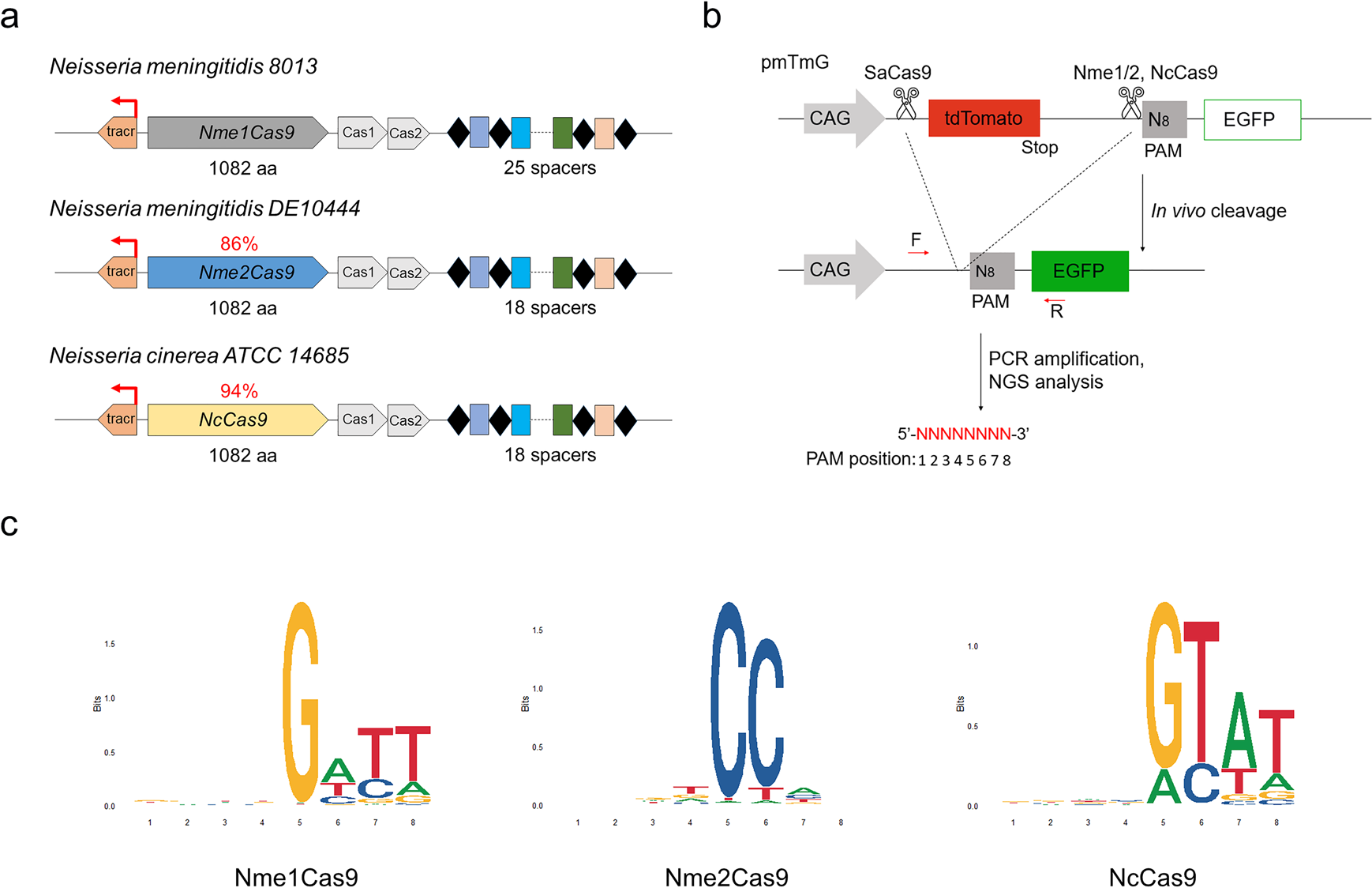Fig. 1: PAM identification by PAM-DOSE.