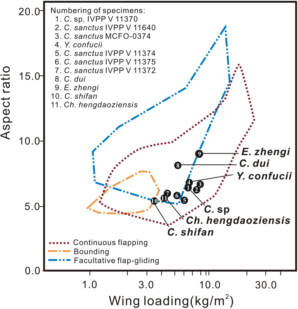 Fig. 9: Positions of estimated confuciusornithid specimens in a morphospace defined by wing loading (WL) and aspect ratio (AR) of extant birds with particular modes of flight.