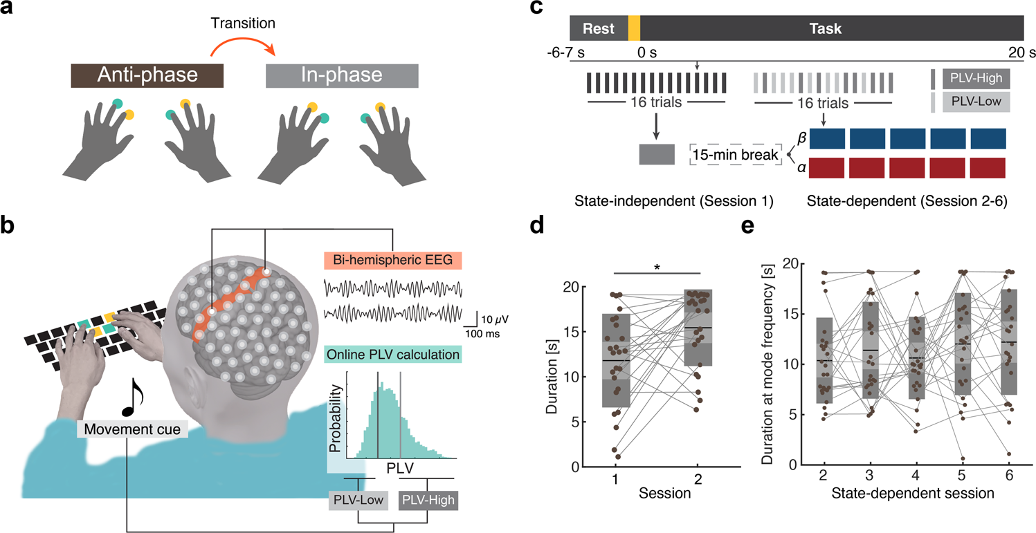 Beta rhythmicity in human motor cortex reflects neural population coupling  that modulates subsequent finger coordination stability | Communications  Biology