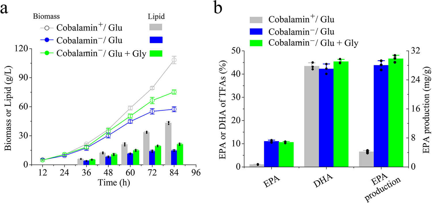 Fig. 6: Production of EPA using Schizochytrium sp. by fed-batch culture.