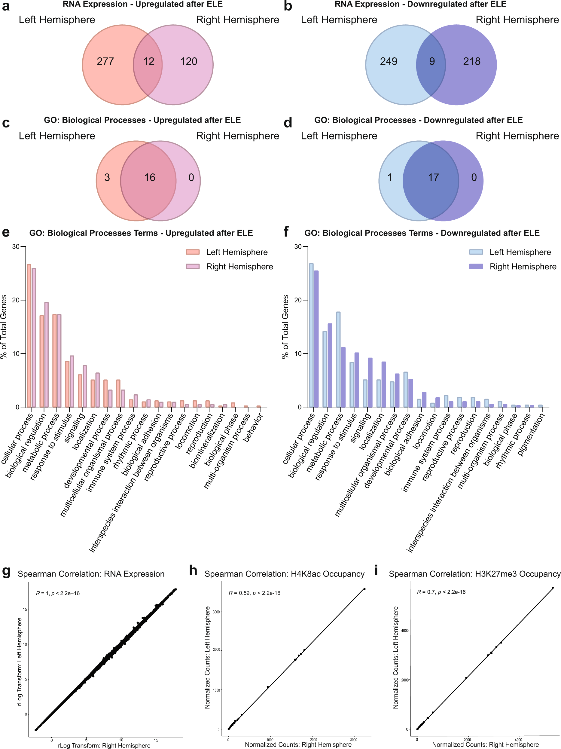 Fig. 3: Functional categorizations of ELE-induced differential gene expression, and distribution of H4K8ac and H3K27me3, are similar regardless of hippocampal hemisphere.