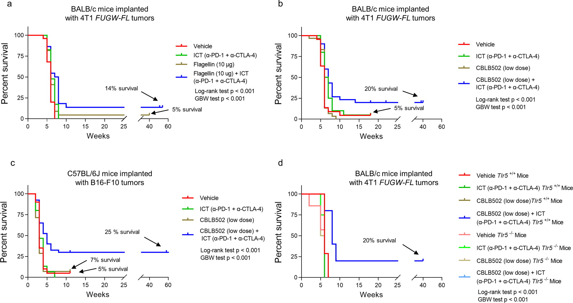 Fig. 2: Combination treatment with TLR5 agonist and ICT enhance survival in ICT-refractory tumors and TLR5 host receptors are necessary to elicit the anti-tumor response in a 4T1 tumor model.