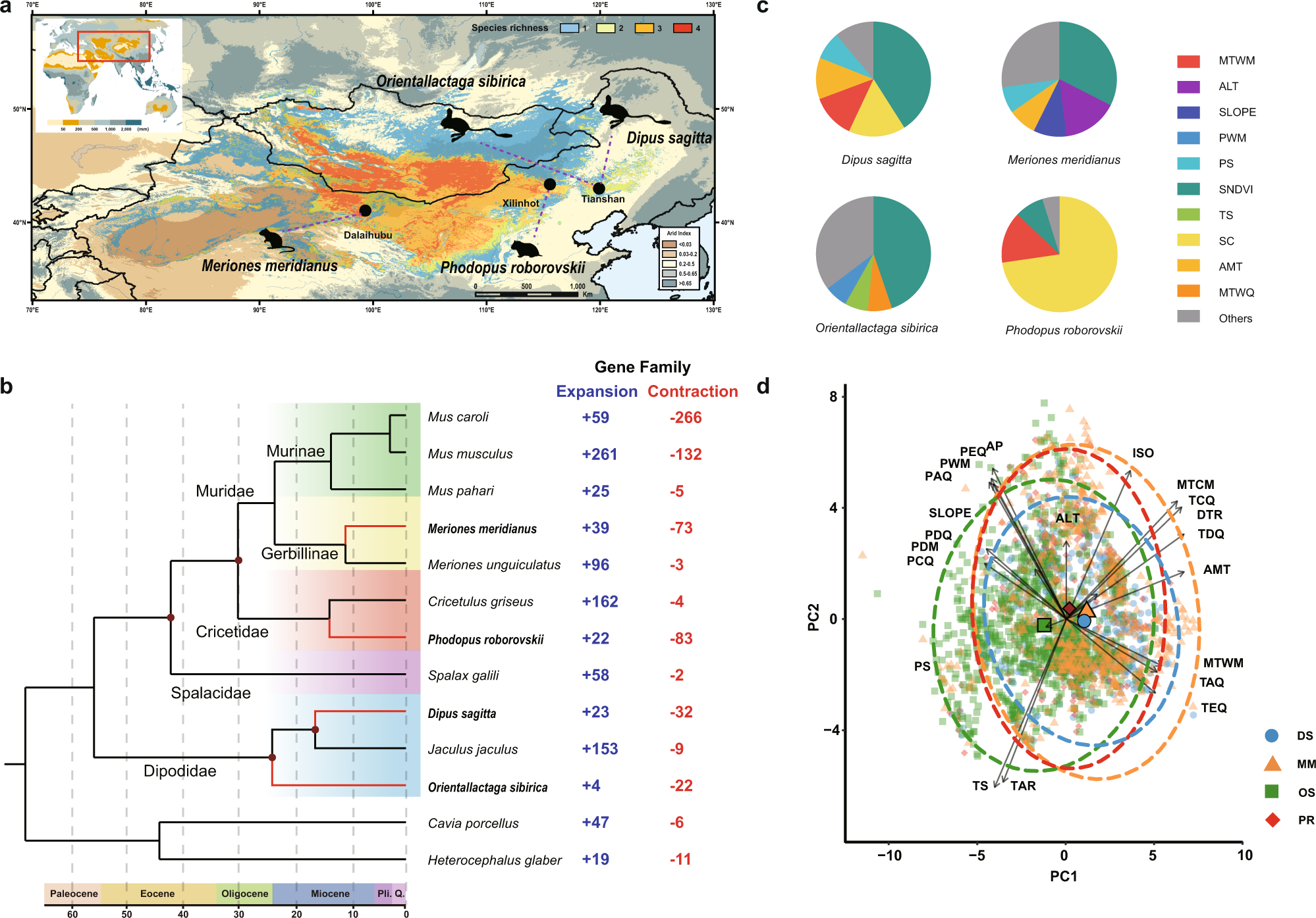 T2306-25-039-R 98.9*732*59 T2306-25-039-R 98.9*732*59