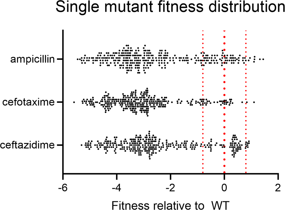 Fig. 2: Distribution of single mutant fitness values relative to CTX-M-14WT.