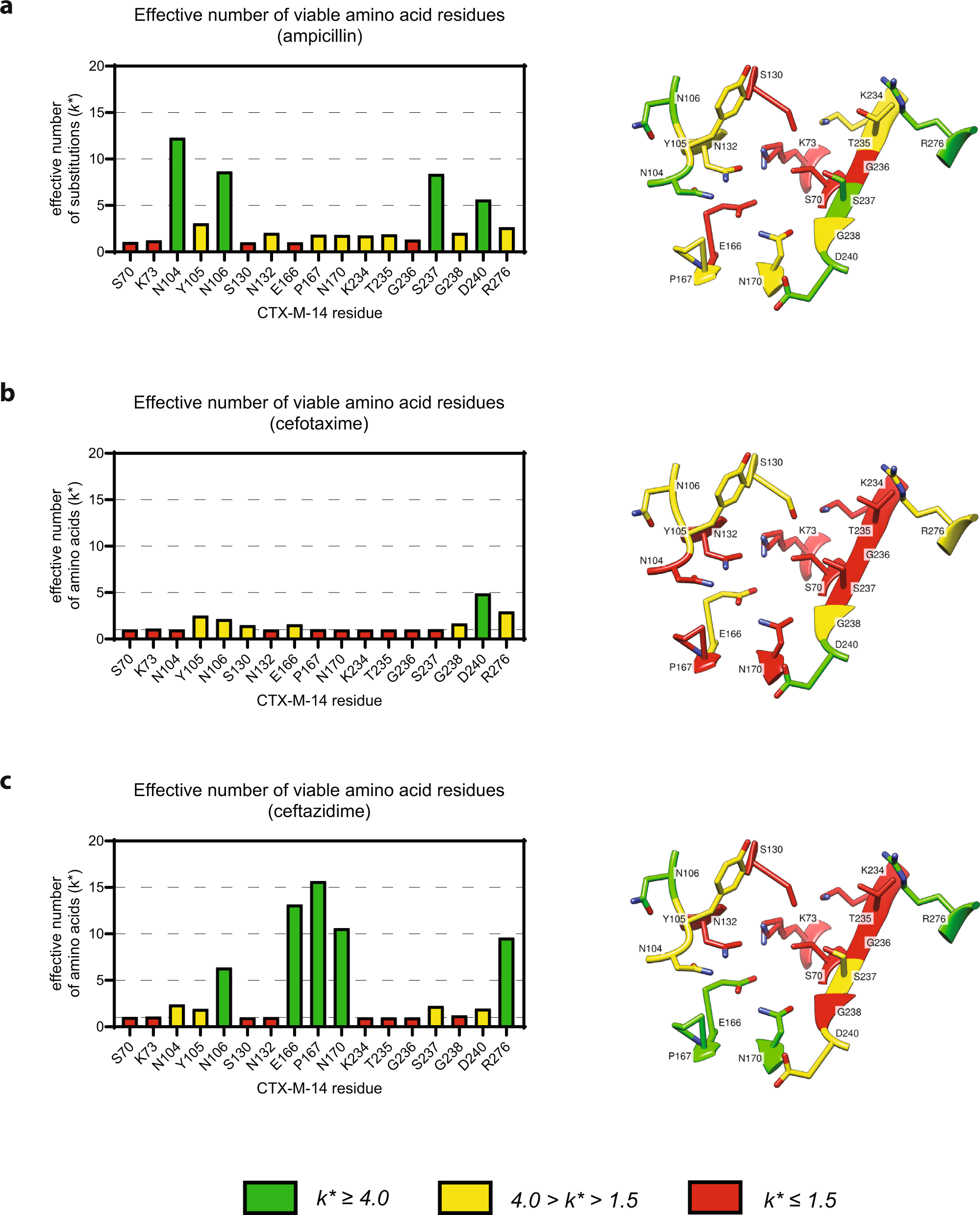 Fig. 4: The effective number of substitutions for each CTX-M-14 active site position.