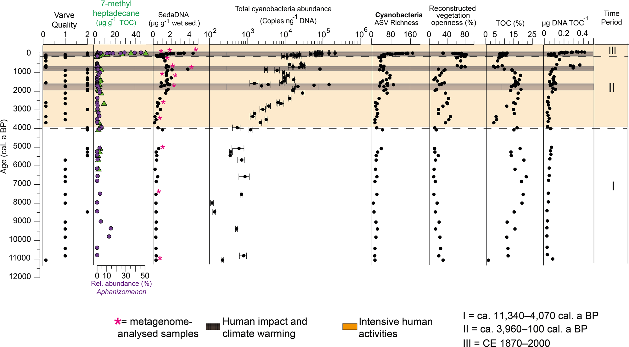 Fig. 2: Sediment chronology with sedimentological parameters, sedaDNA content, information on cyanobacteria abundance and alpha diversity, and selected lake paleoenvironmental records.