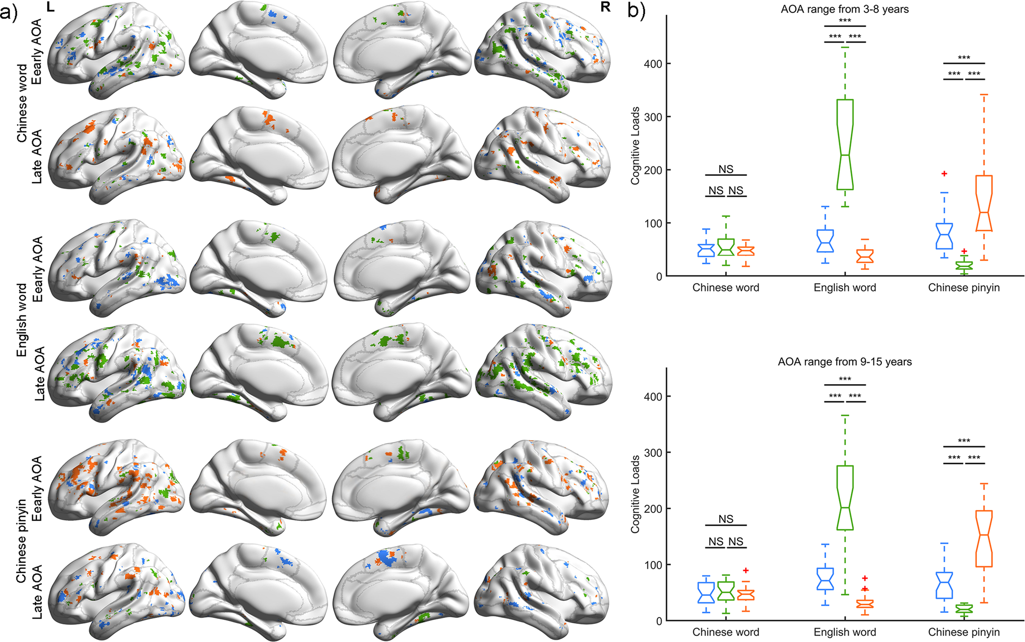 Fig. 8: Brain loads for three linguistic components in early and late AOA participants.