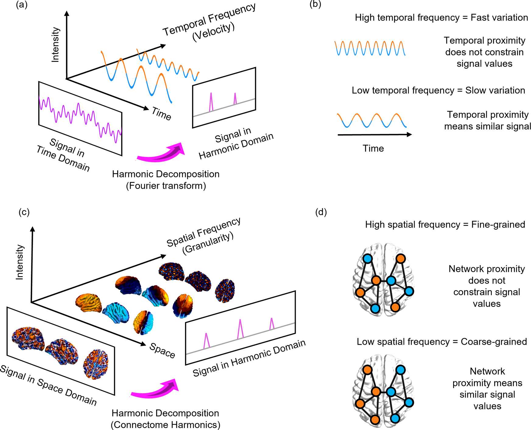 Distributed harmonic patterns of structure-function dependence orchestrate  human consciousness | Communications Biology